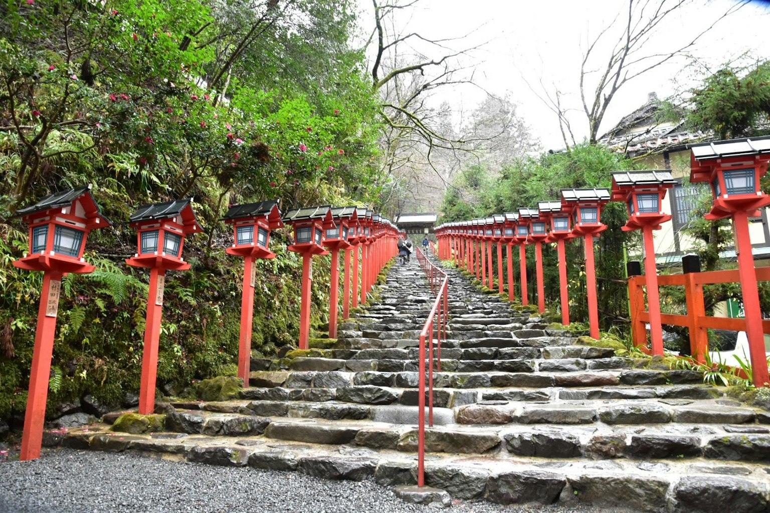 Stone steps flanked by red lanterns surrounded by lush greenery