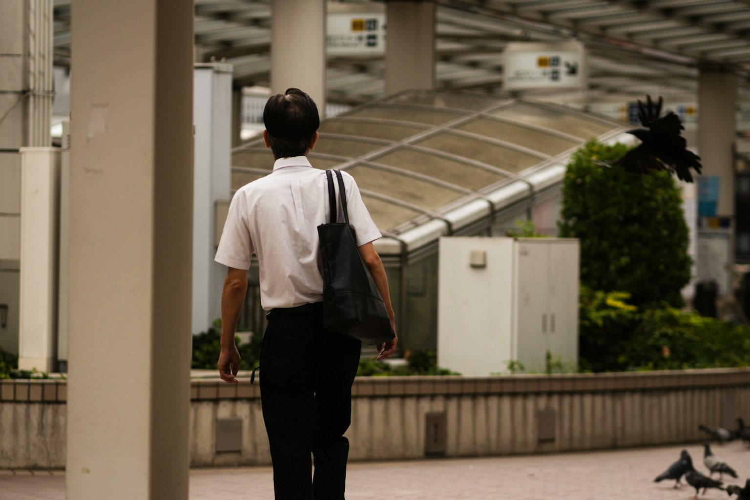 男性がバッグを持って歩いている風景 鳥が周囲にいる
