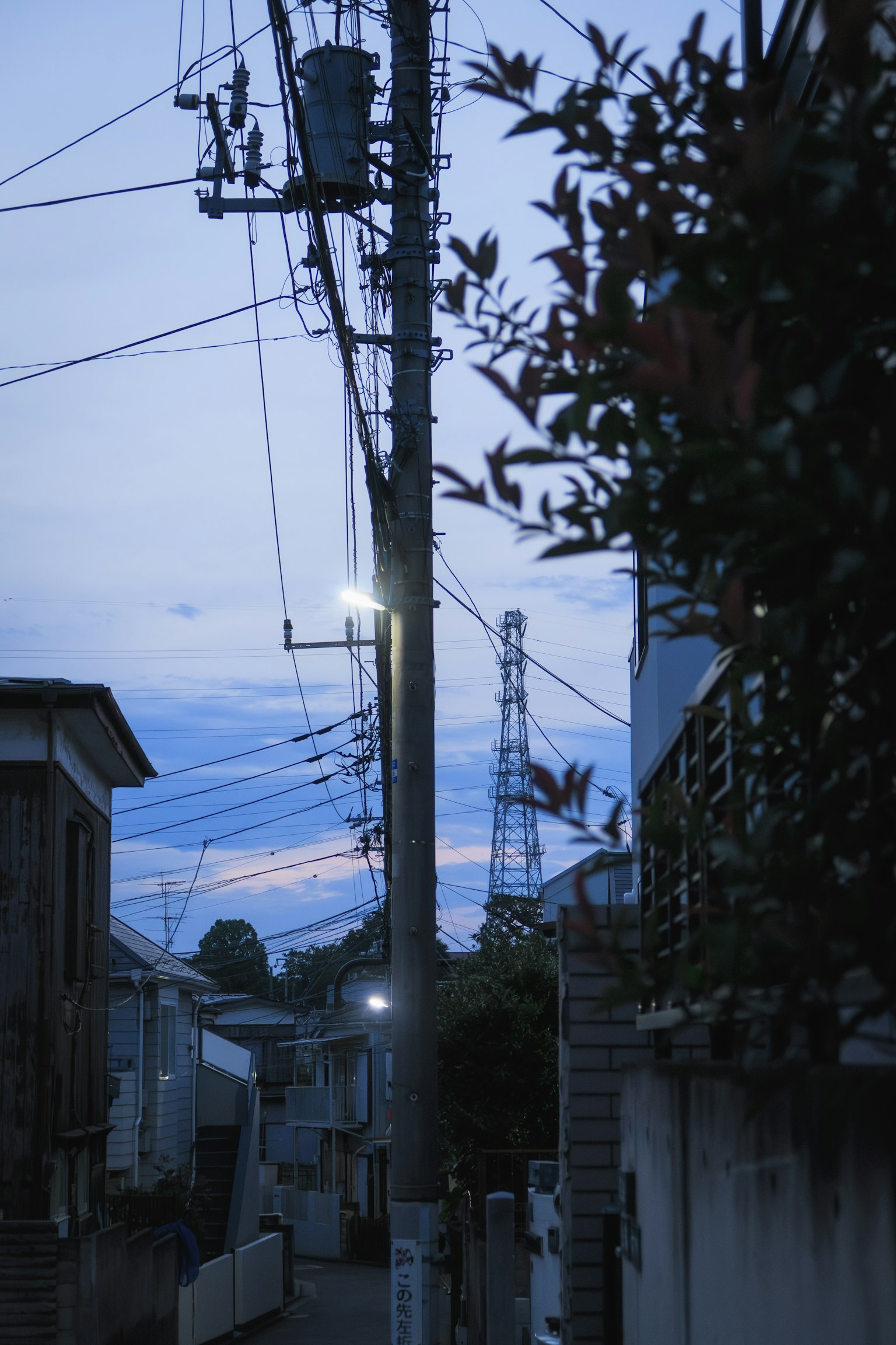 夕暮れ時の静かな街路に立つ電柱と街灯