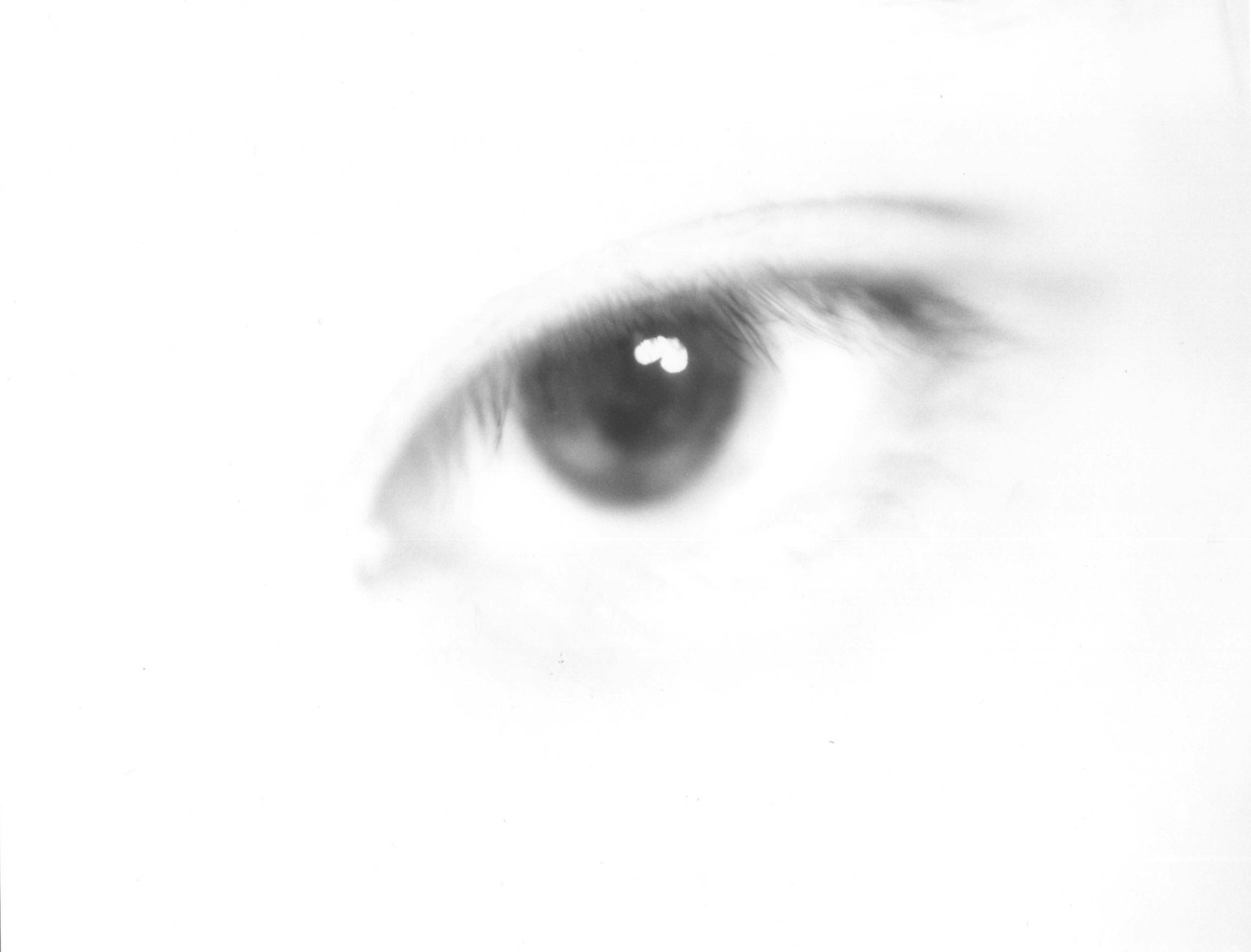 photo-78l1FaXMn3OEbmlg7w53-image