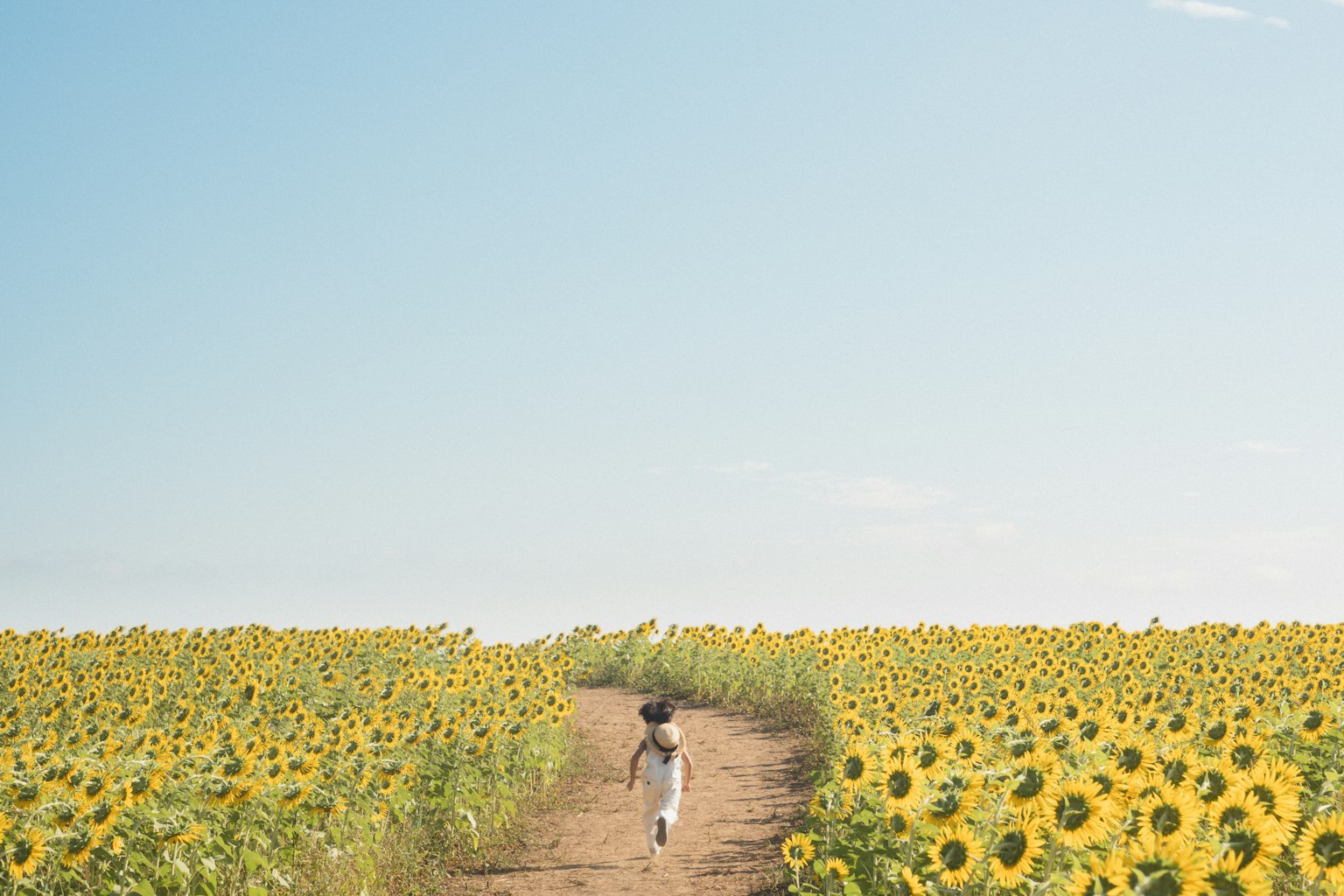 Bambino che corre lungo un sentiero di terra in un campo di girasoli