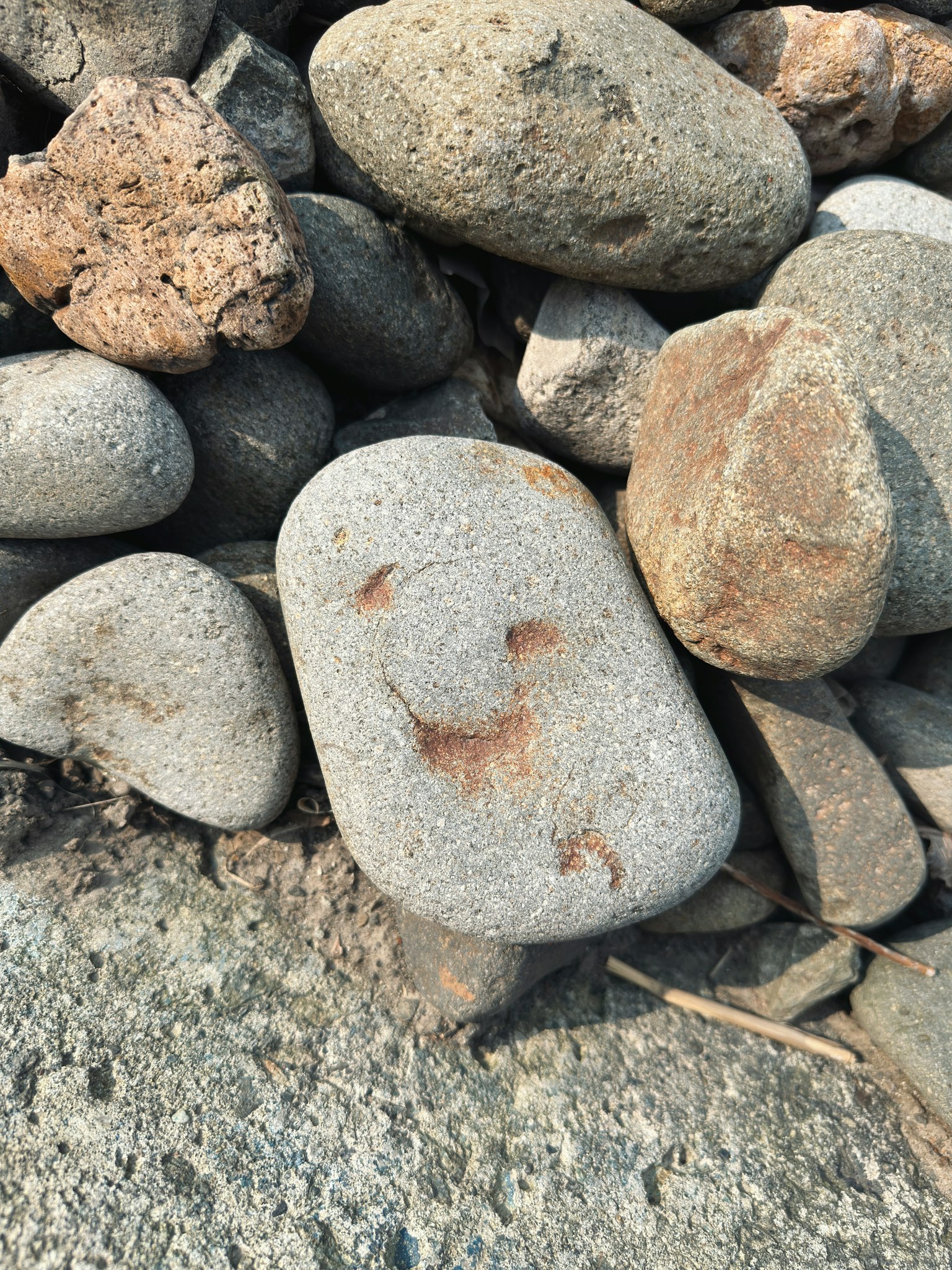 photo-79fq7F9cNSSUAlz926hQ-image