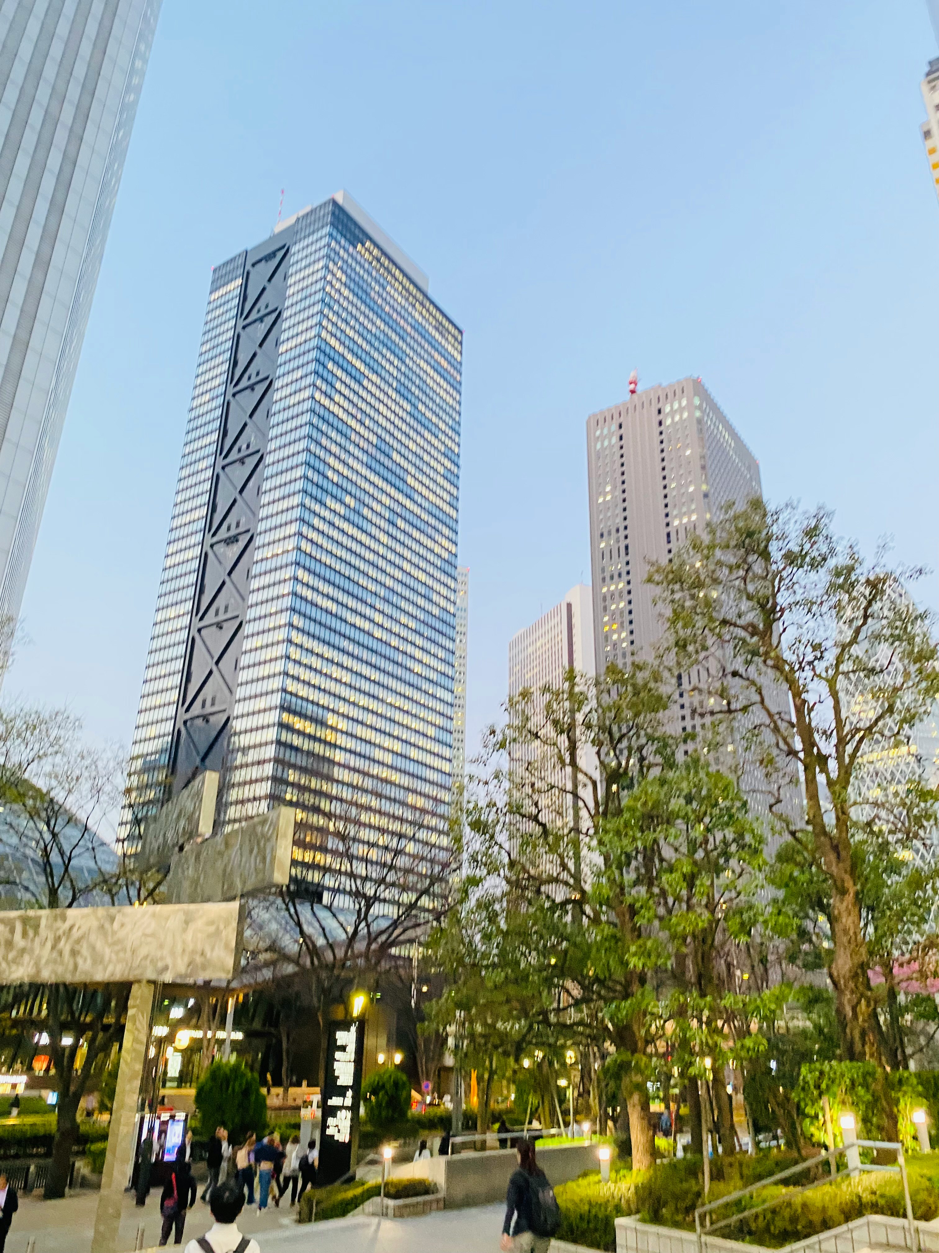 高層ビルが立ち並ぶ都心の並木道