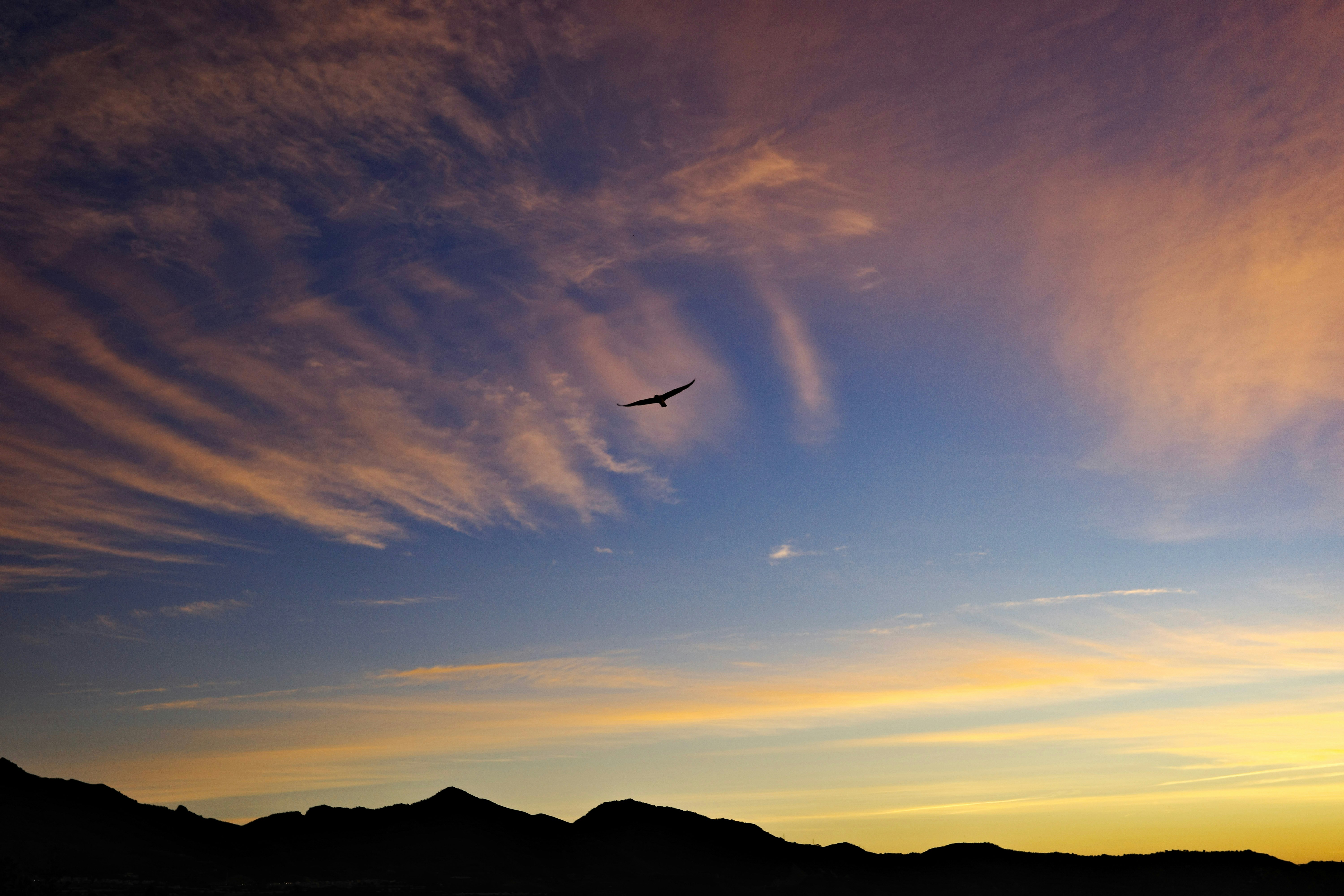 夕焼け空に飛行機雲を描く飛行機のシルエット