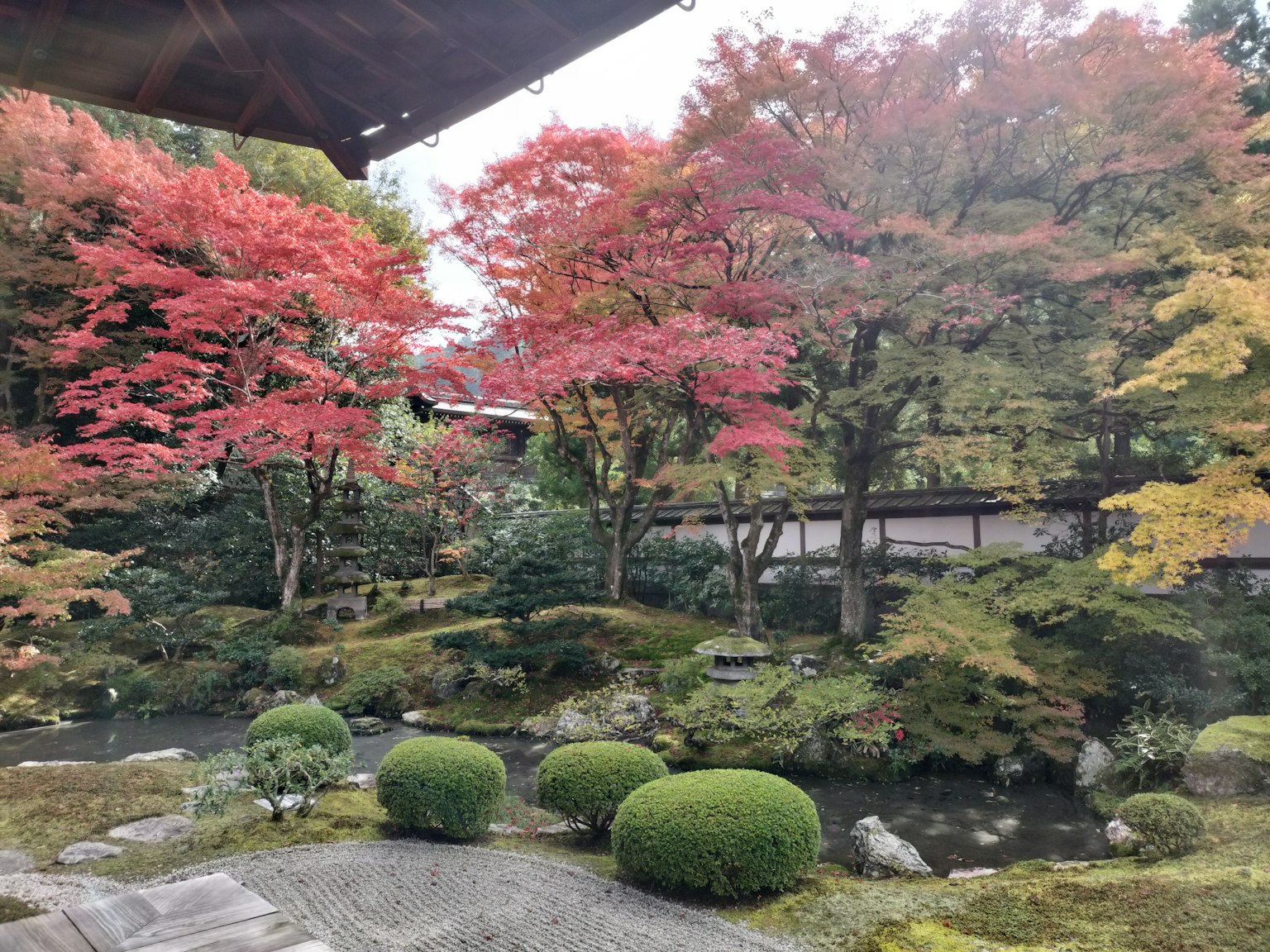美麗的日本花園 特色秋季彩葉和寧靜的池塘