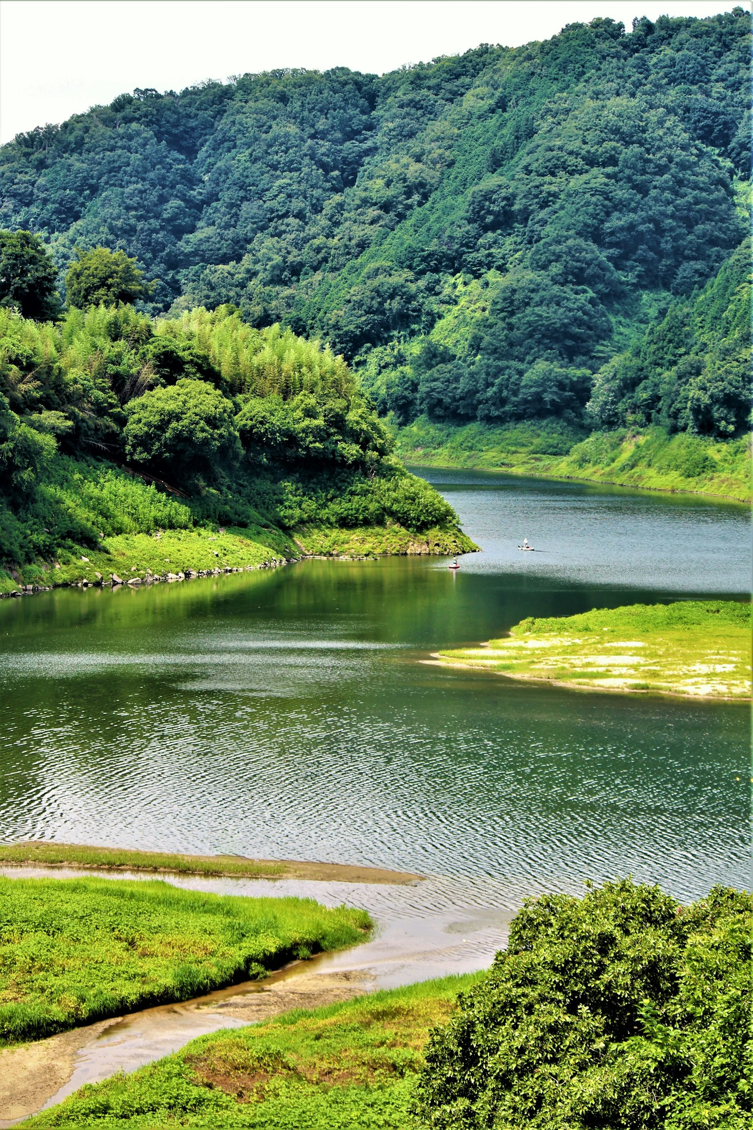 被郁郁葱葱的山丘环绕的宁静河流景观
