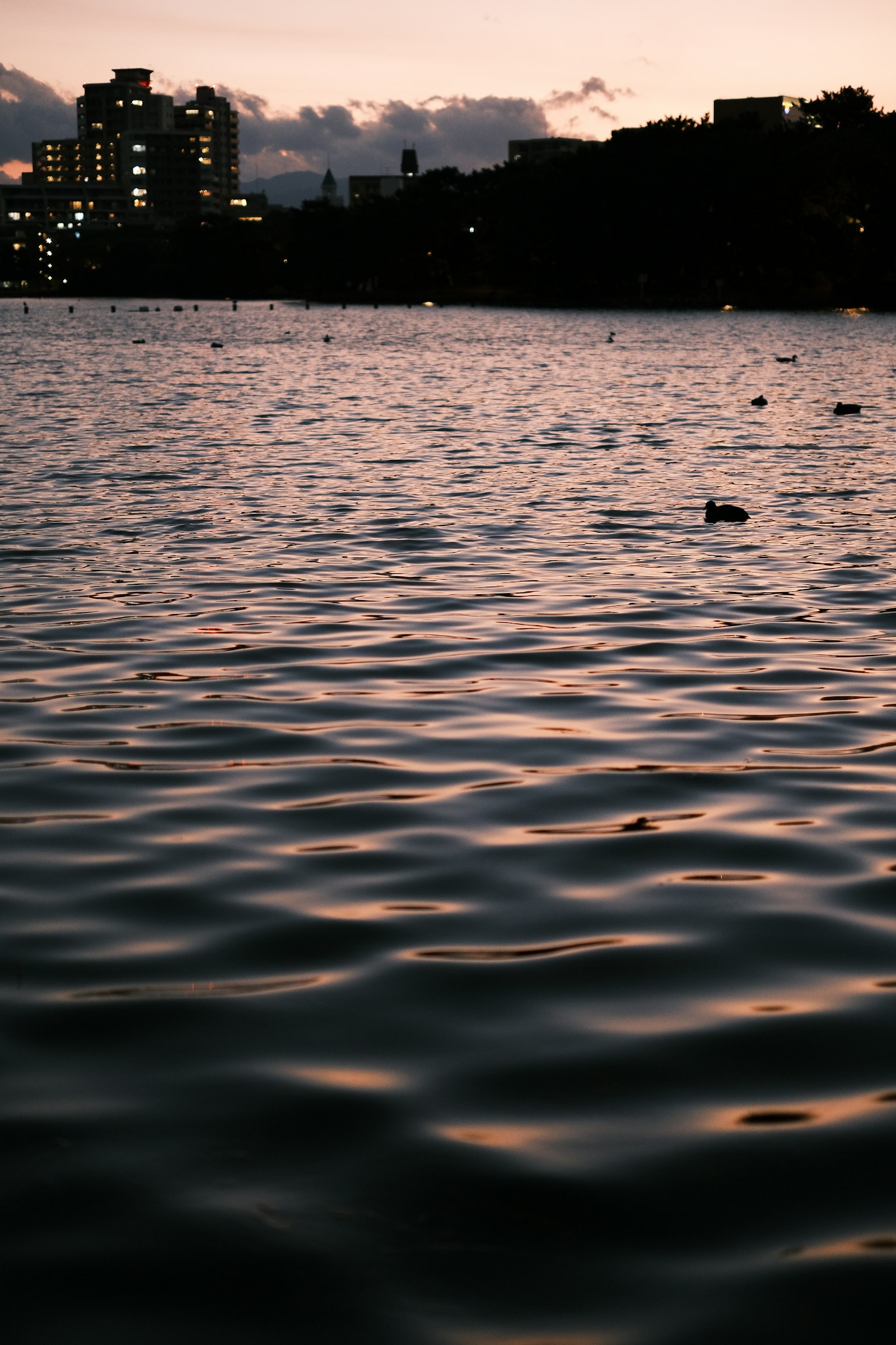 Superficie d'acqua serena che riflette le luci della città al crepuscolo