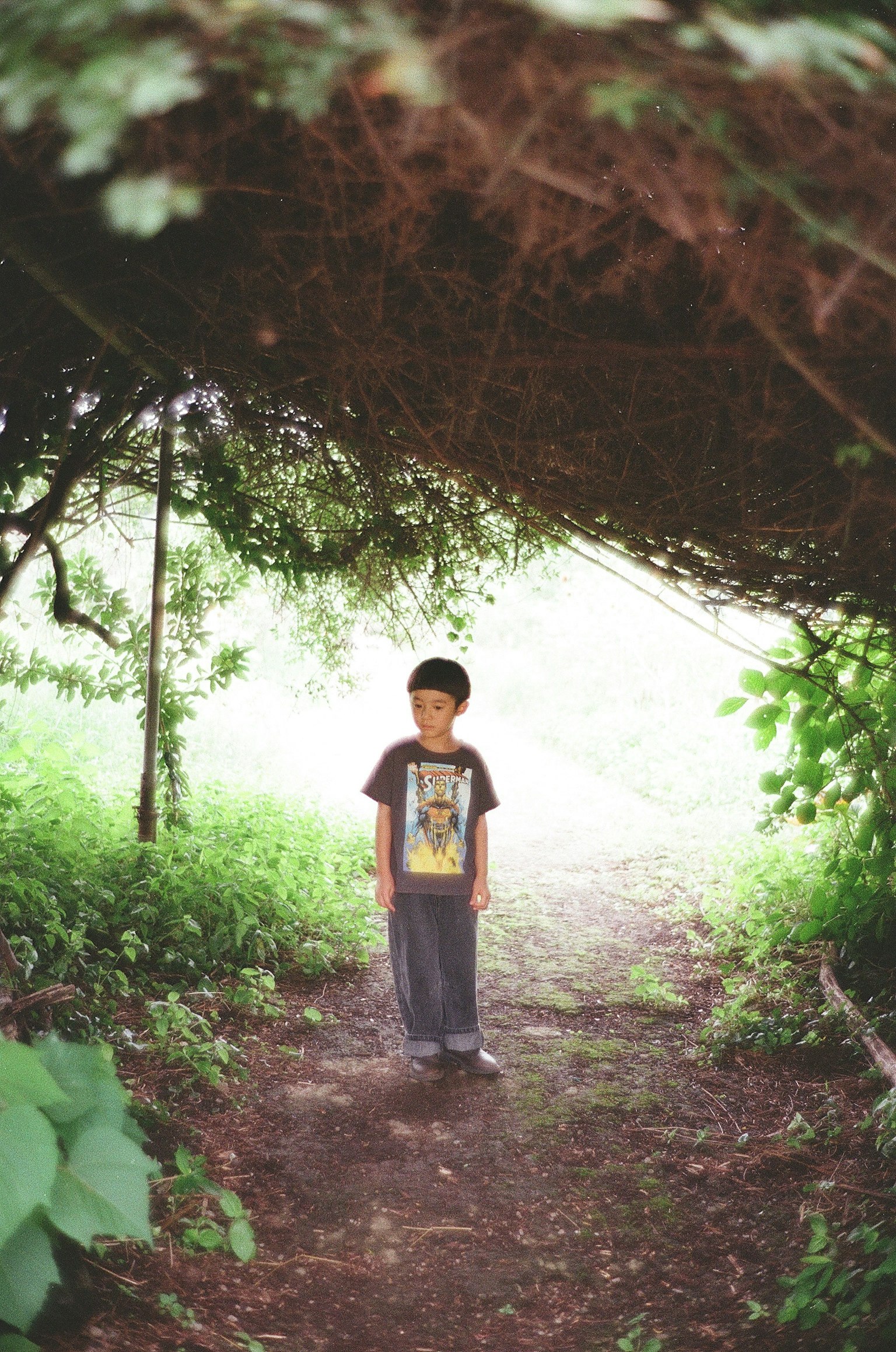 緑の植物に囲まれた小道のトンネルの中に立つ少年