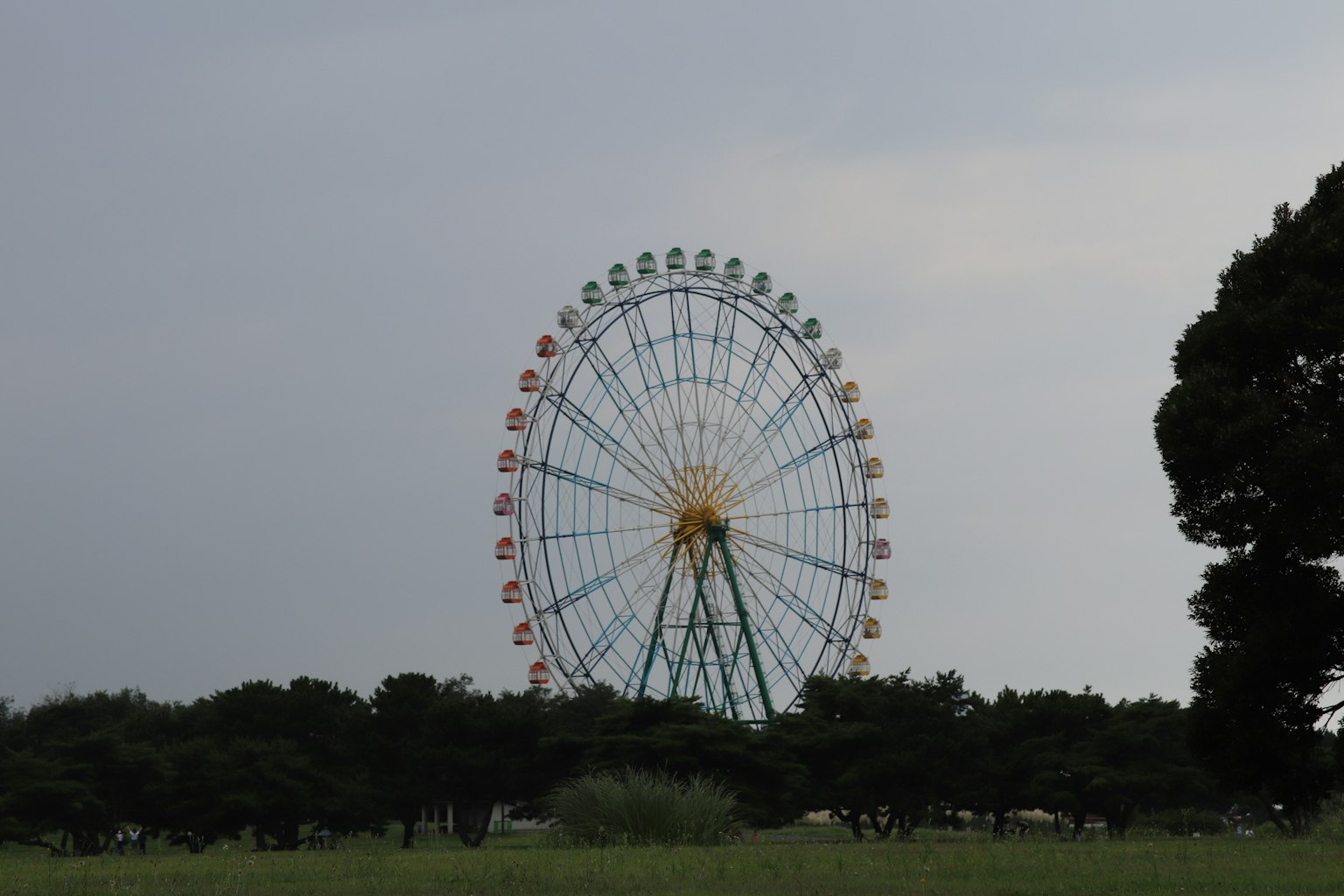 Grande roue sous un ciel nuageux avec de l'herbe verte