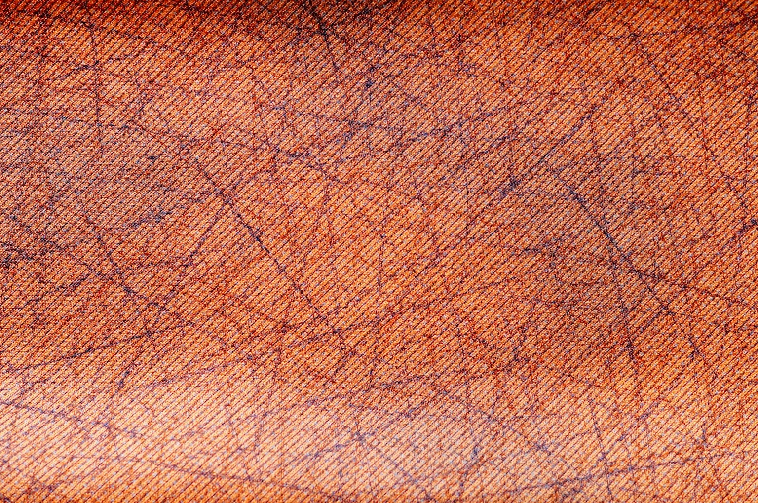 展示皮肤表面纹理和颜色的图像