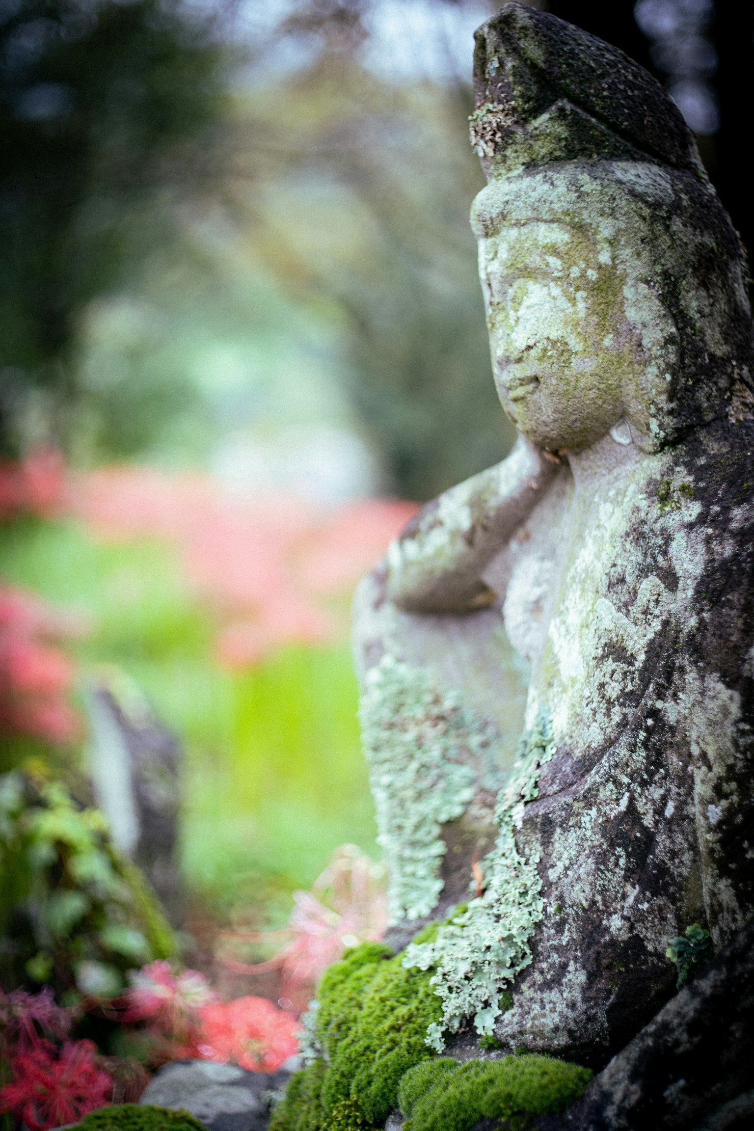 Close-up of an ancient Buddha statue surrounded by green moss and flowers