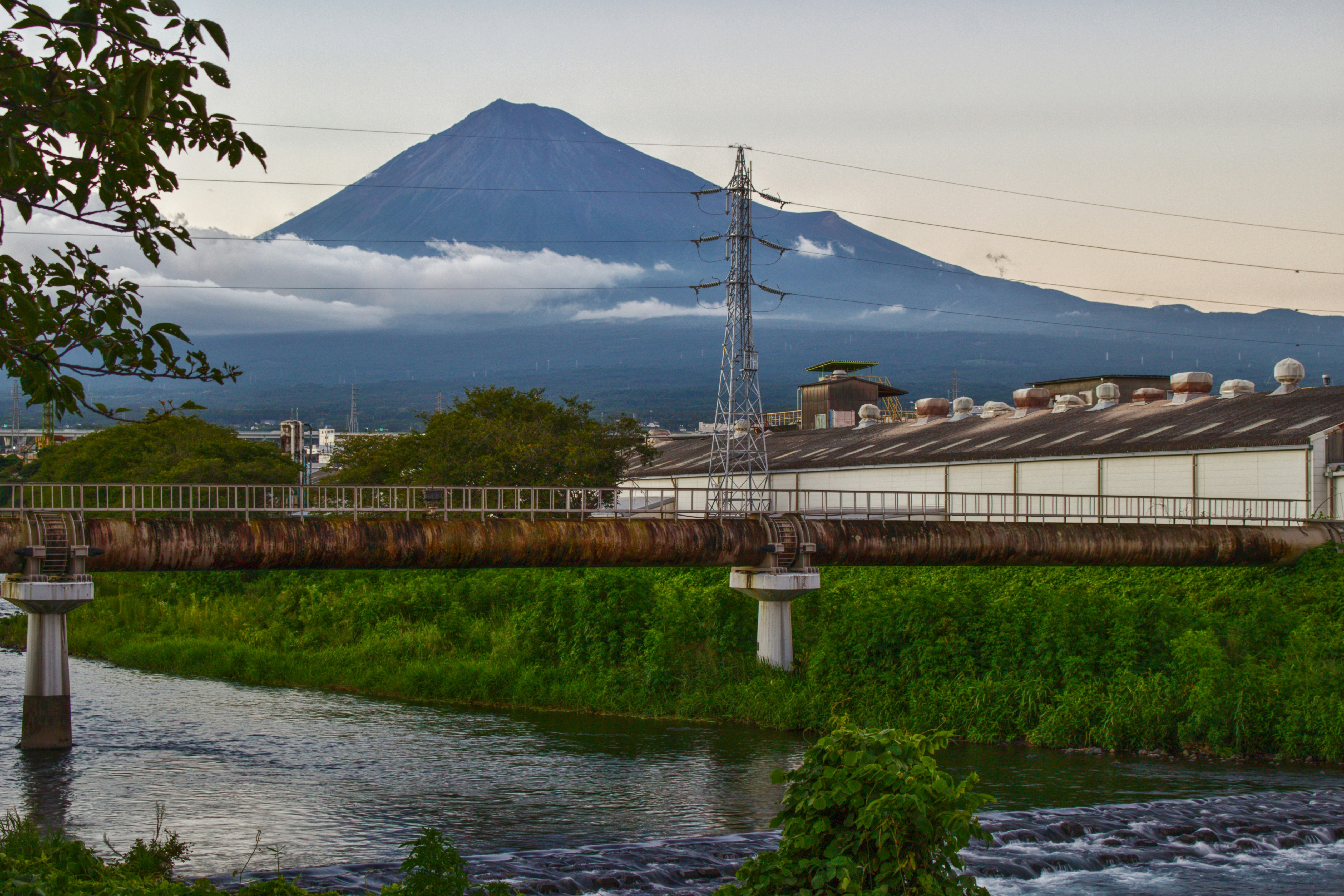 夕方の富士山を望む川沿いの風景