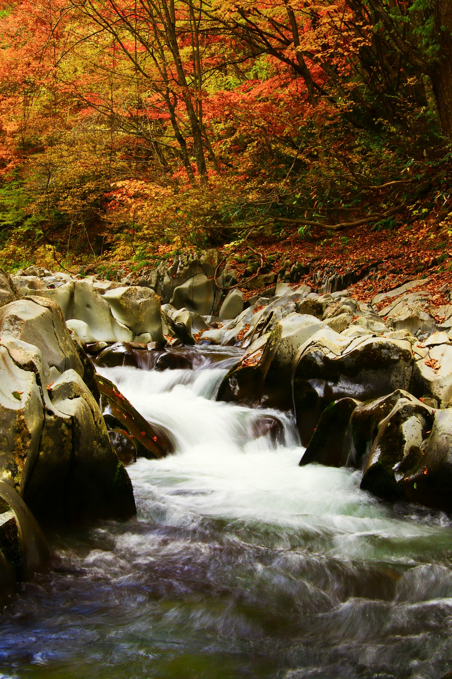 Bach, der zwischen Felsen fließt, umgeben von herbstlichem Laub