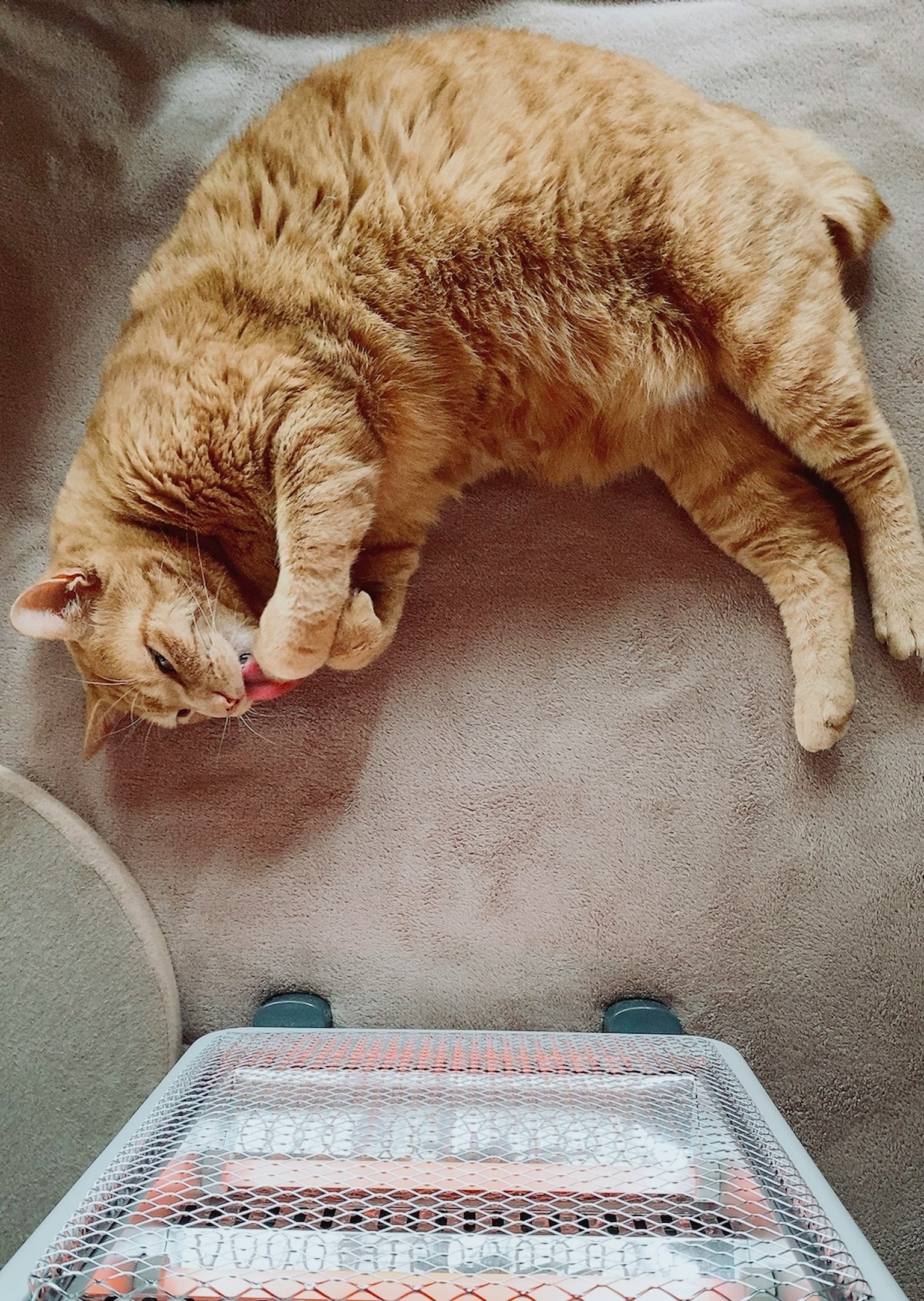 Orange cat lying down grooming its paw