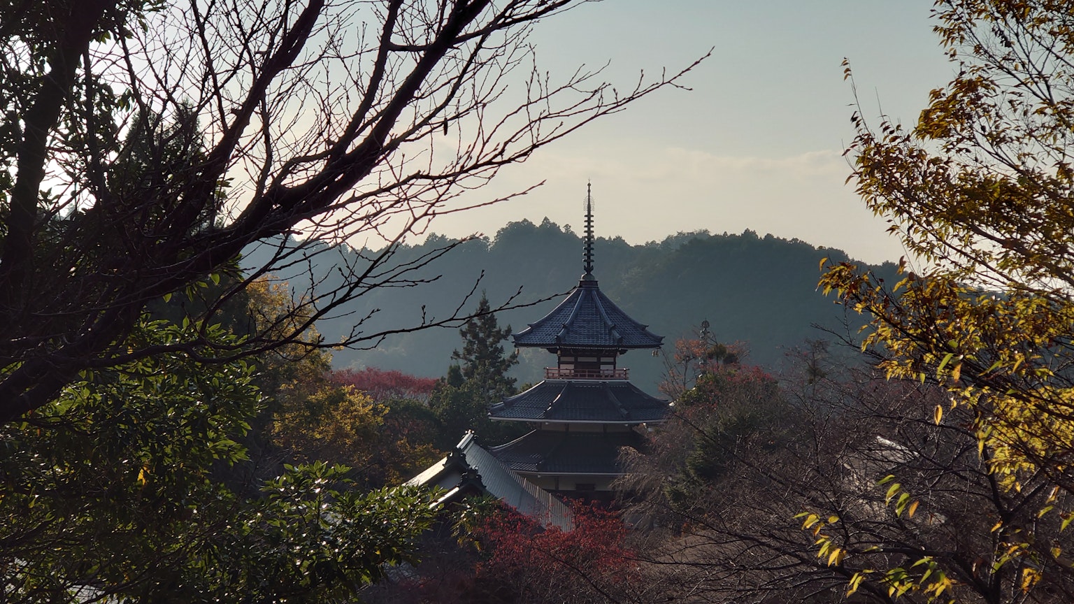 被秋季树叶和树木环绕的日本寺庙塔