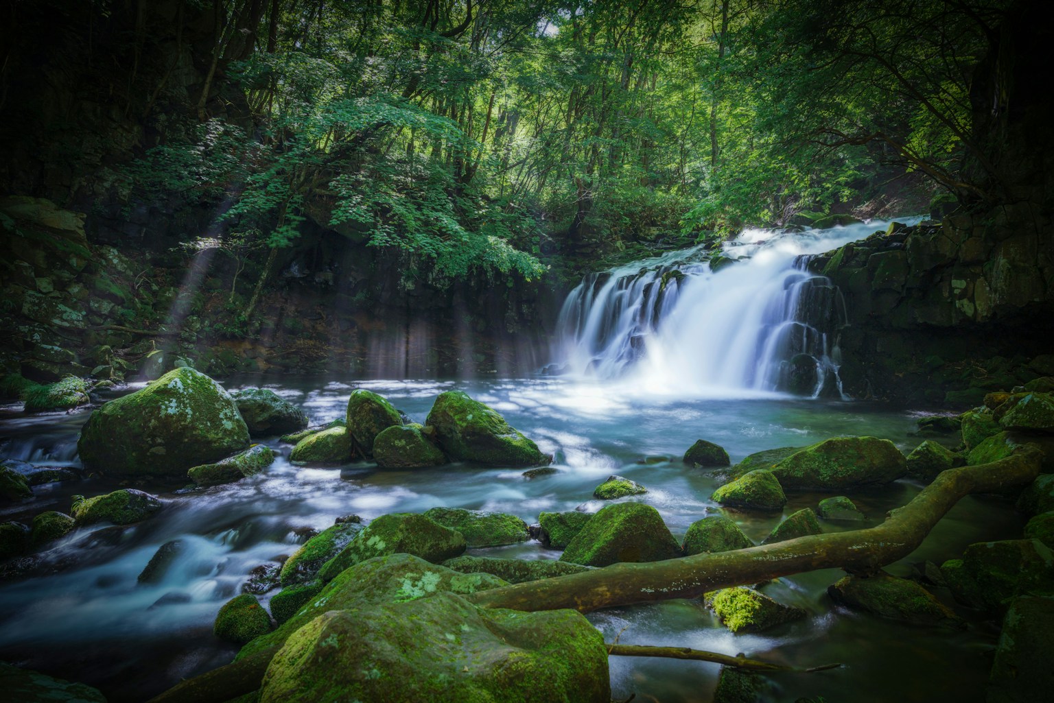Vue pittoresque d'une cascade dans une forêt luxuriante avec de l'eau qui coule et des rochers couverts de mousse