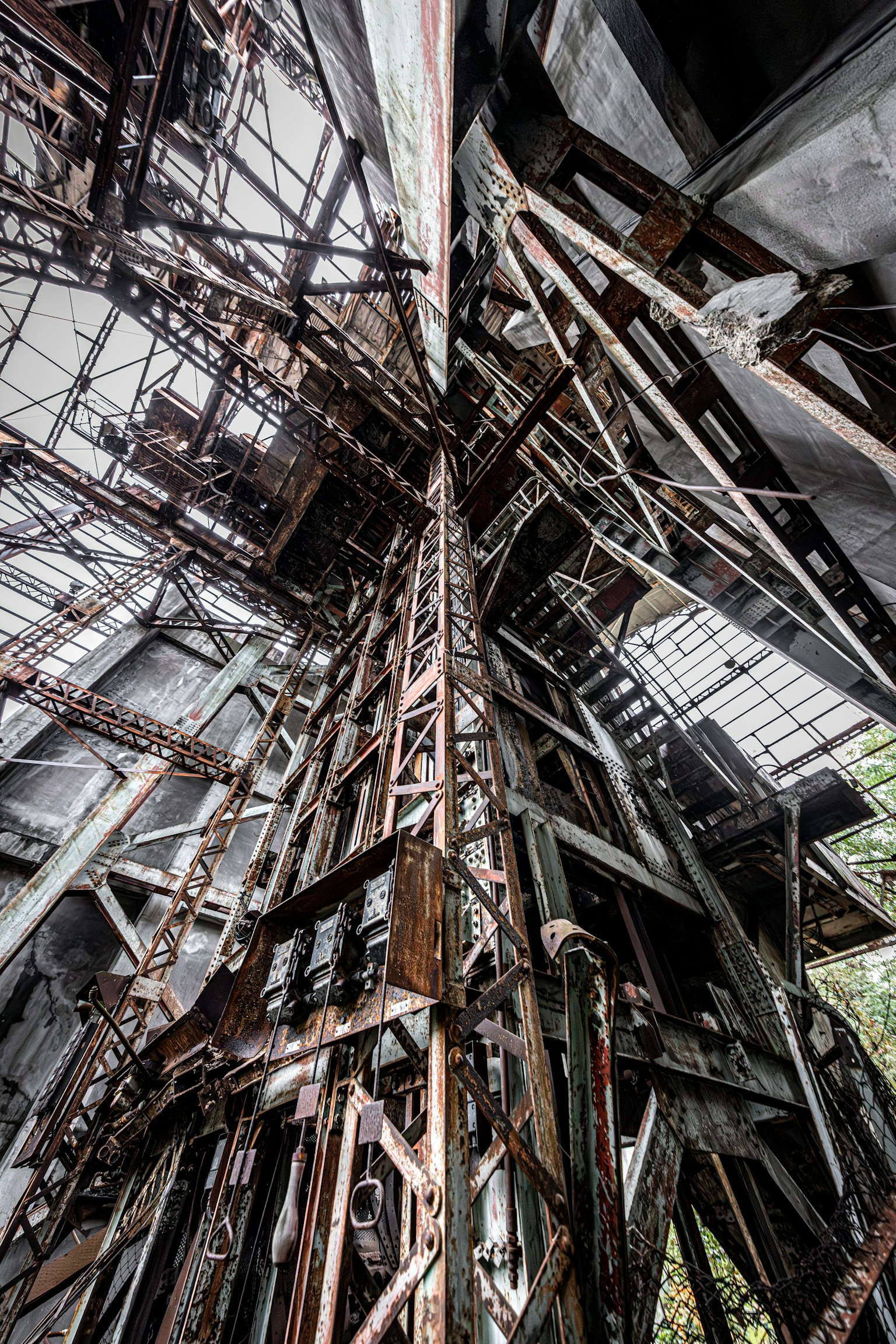 photo-7GDJZ8I4IOWEW3VsVr7H-image