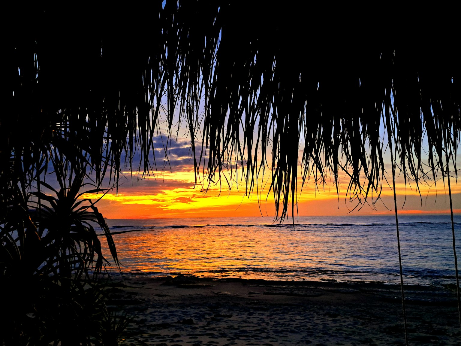 Atardecer sobre el océano enmarcado por hojas de palma