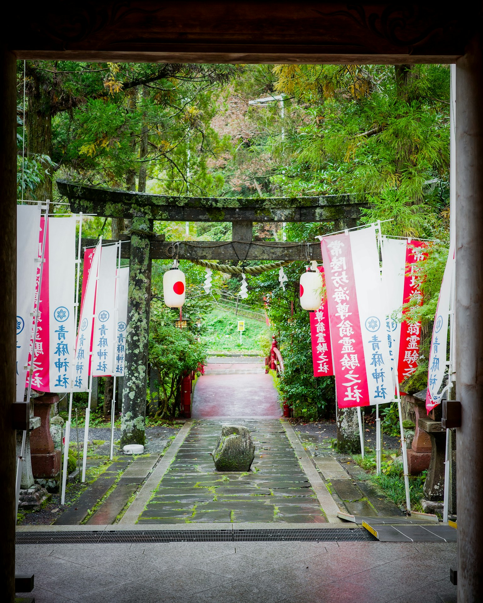A view of a torii gate leading into a lush garden with Japanese flags
