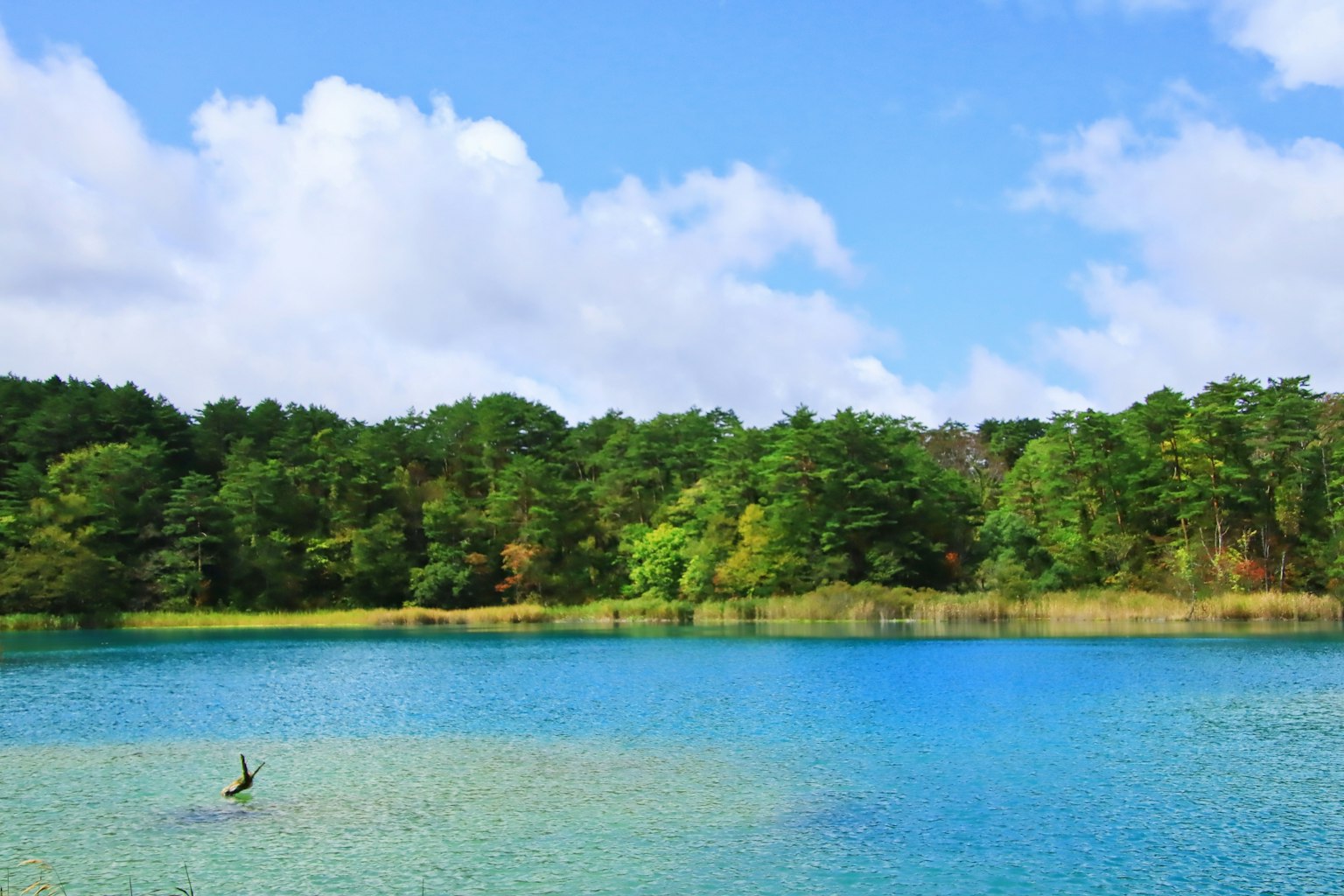 วิวทิวทัศน์ของทะเลสาบสีฟ้ารายล้อมด้วยป่าเขียวชอุ่ม