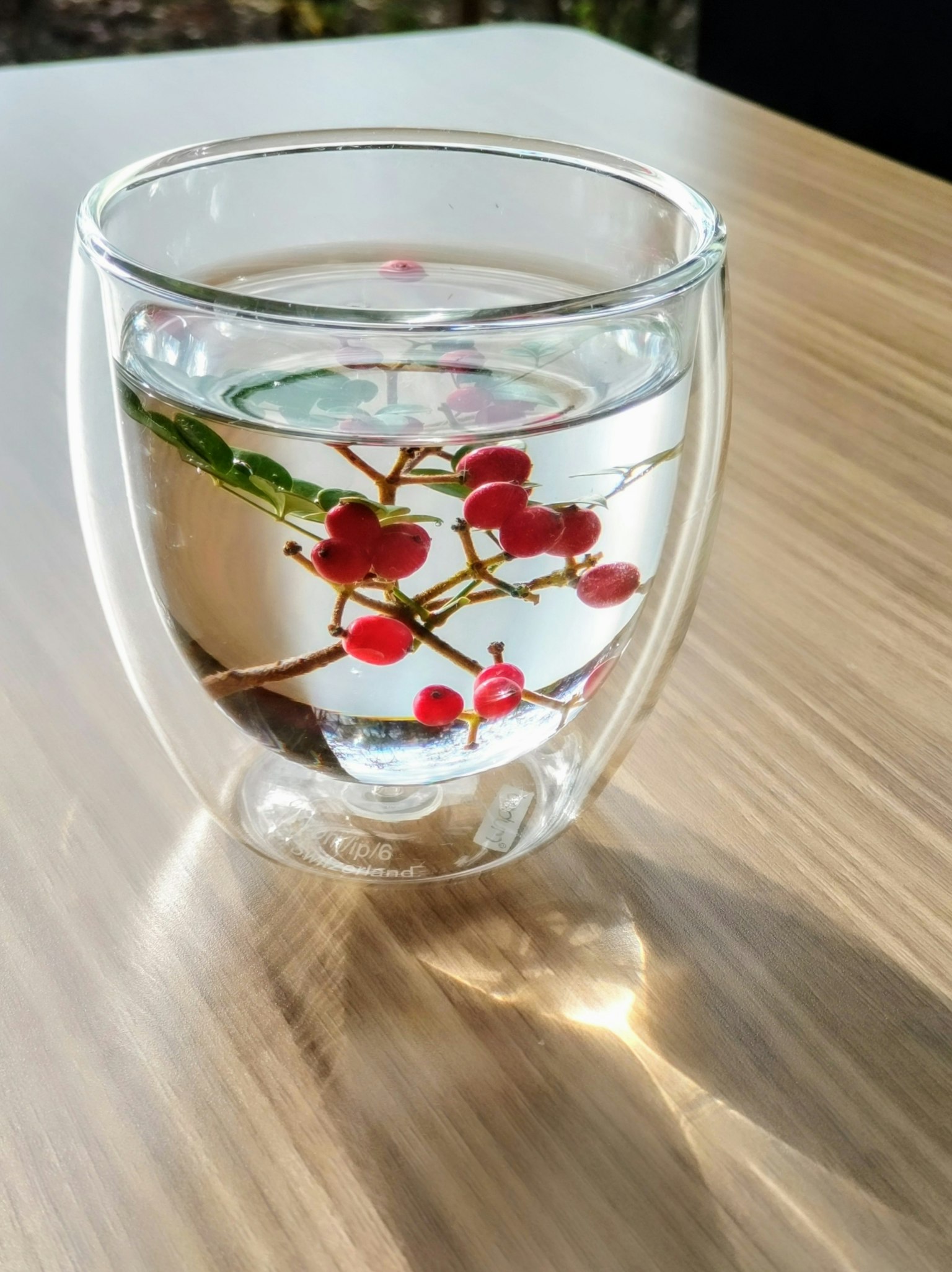 透明玻璃杯中裝有水和紅色漿果植物