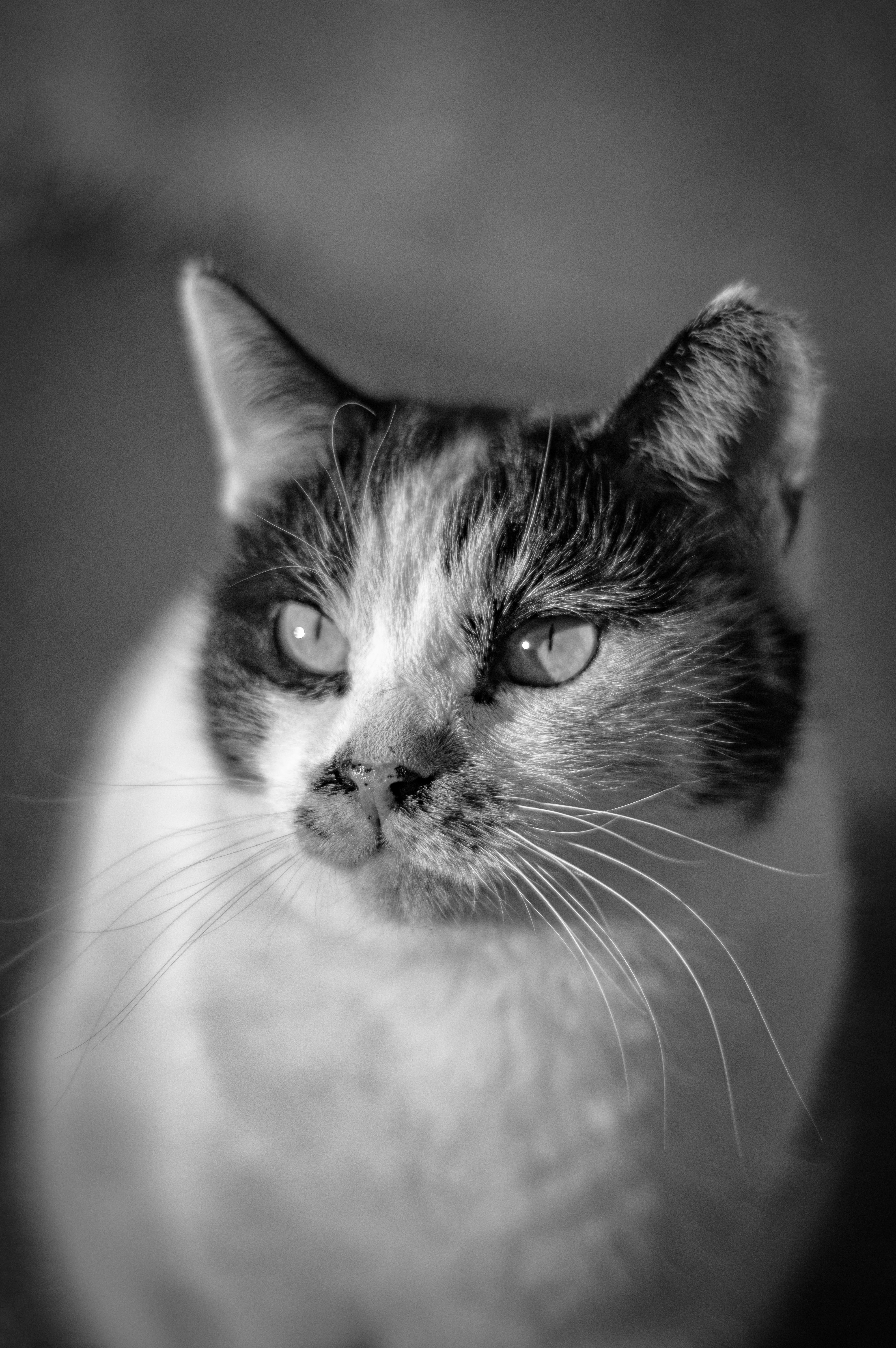 photo-7HhwOnIumCcvSLdElNYo-image