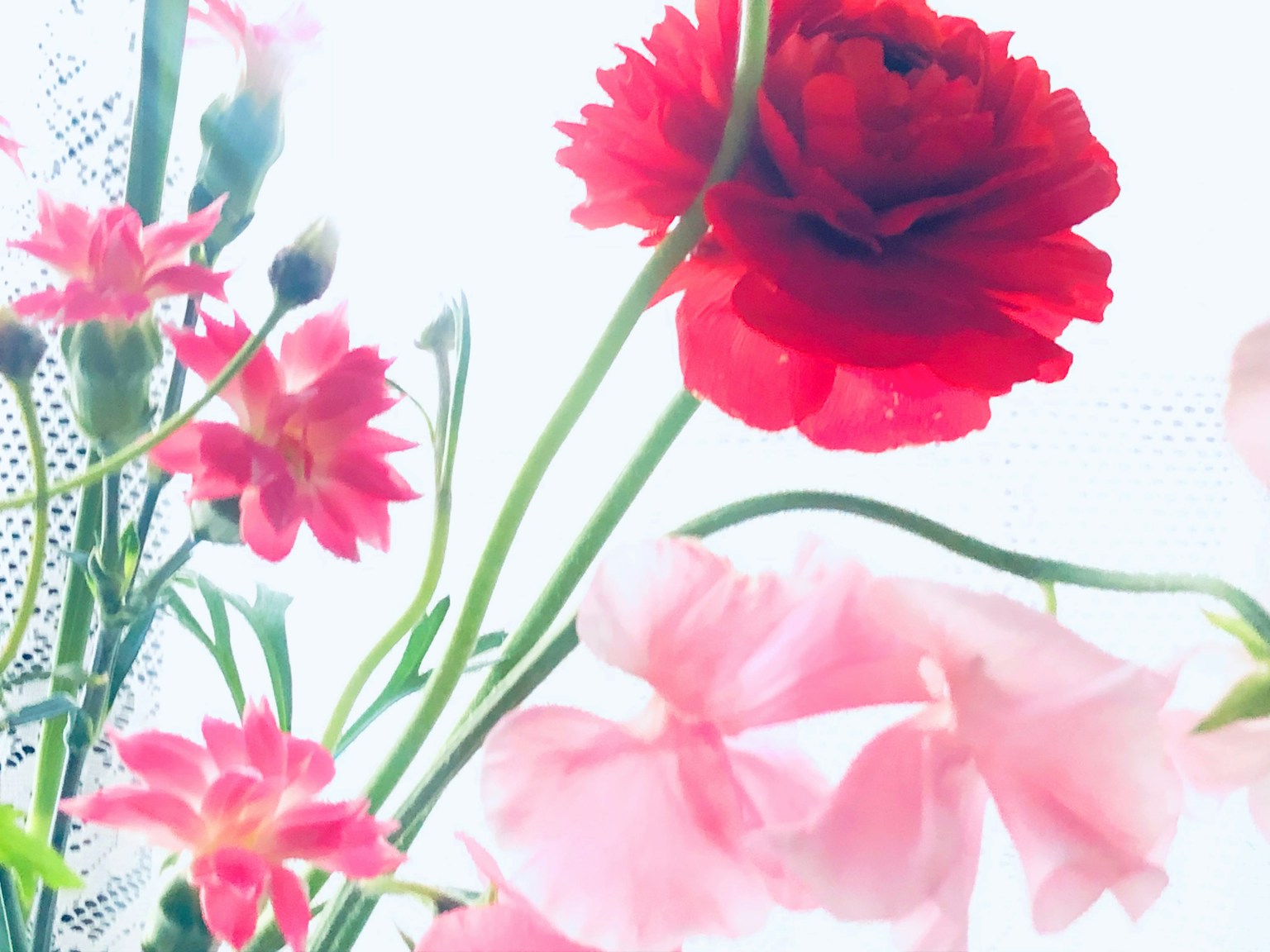 生動的花卉佈置，紅色花朵和粉色花朵在明亮的背景下
