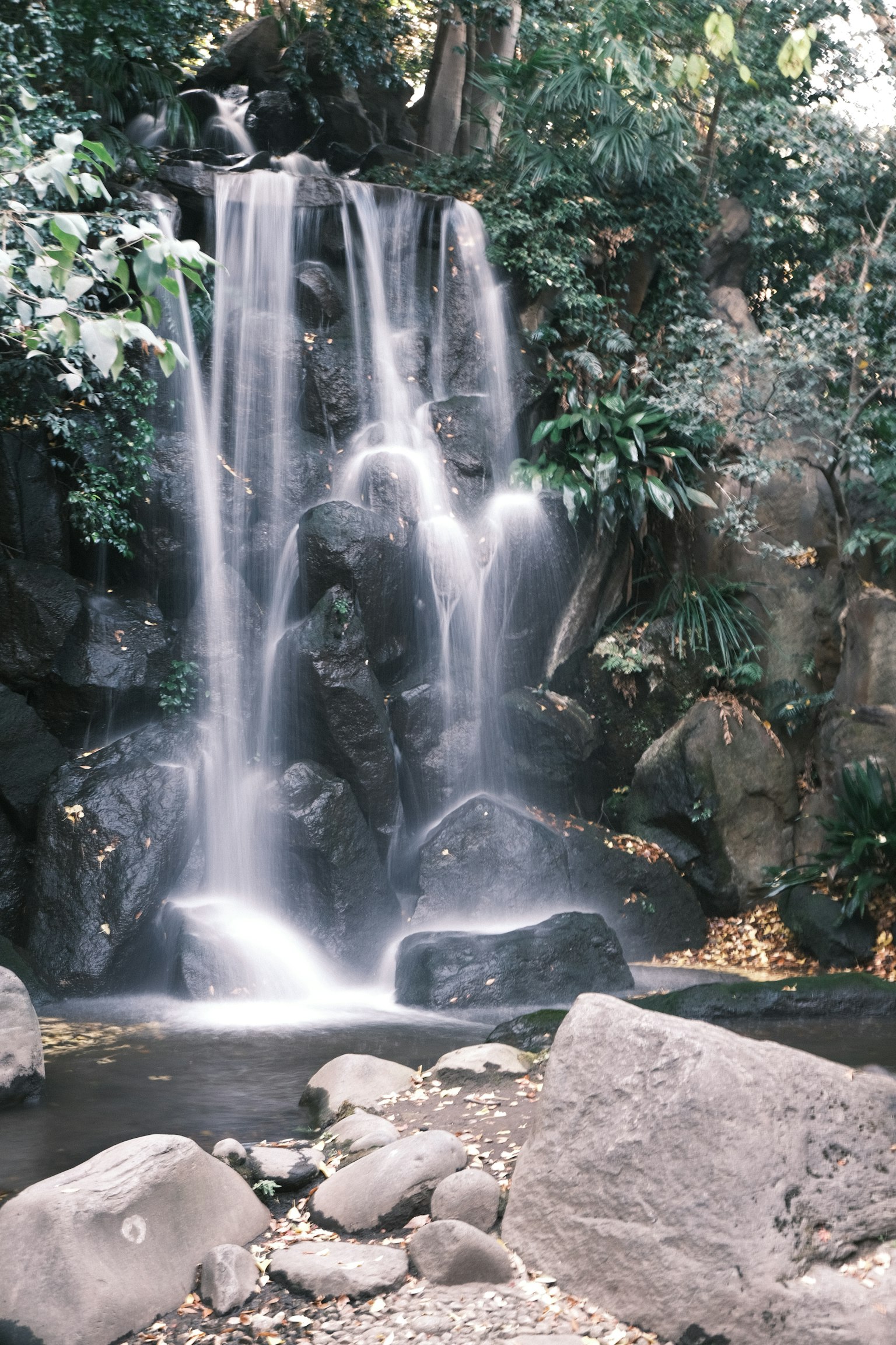 Bellissima cascata circondata da una vegetazione lussureggiante e rocce lisce