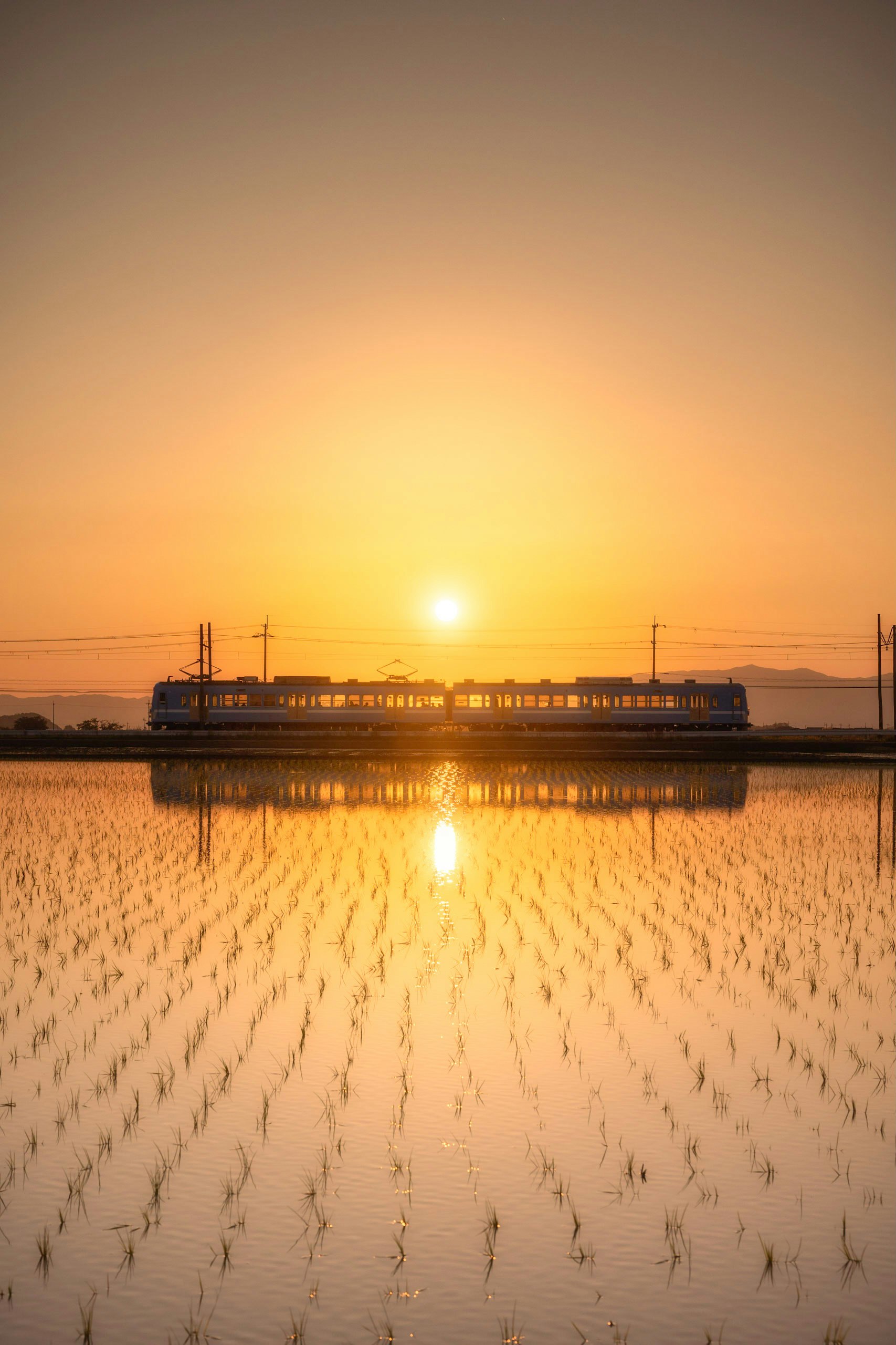 夕日に照らされる水面と桟橋のある風景
