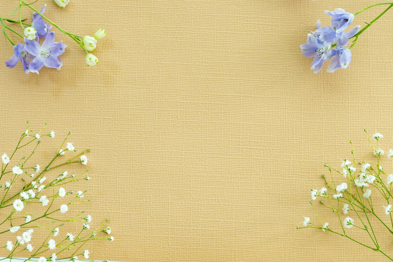 Sfondo giallo delicato con fiori viola e piccoli fiori bianchi disposti