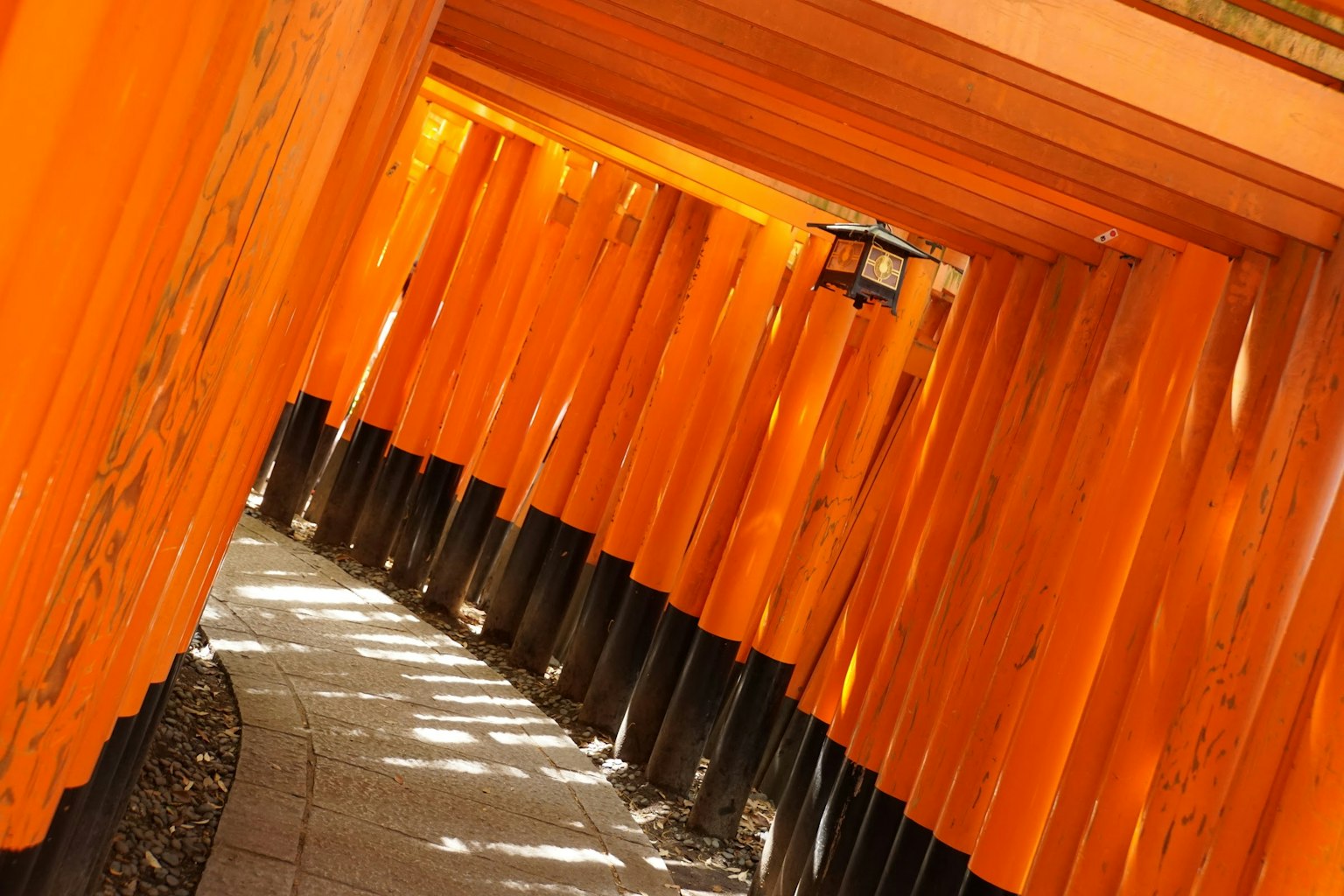 伏見稻荷神社的橙色鳥居小道