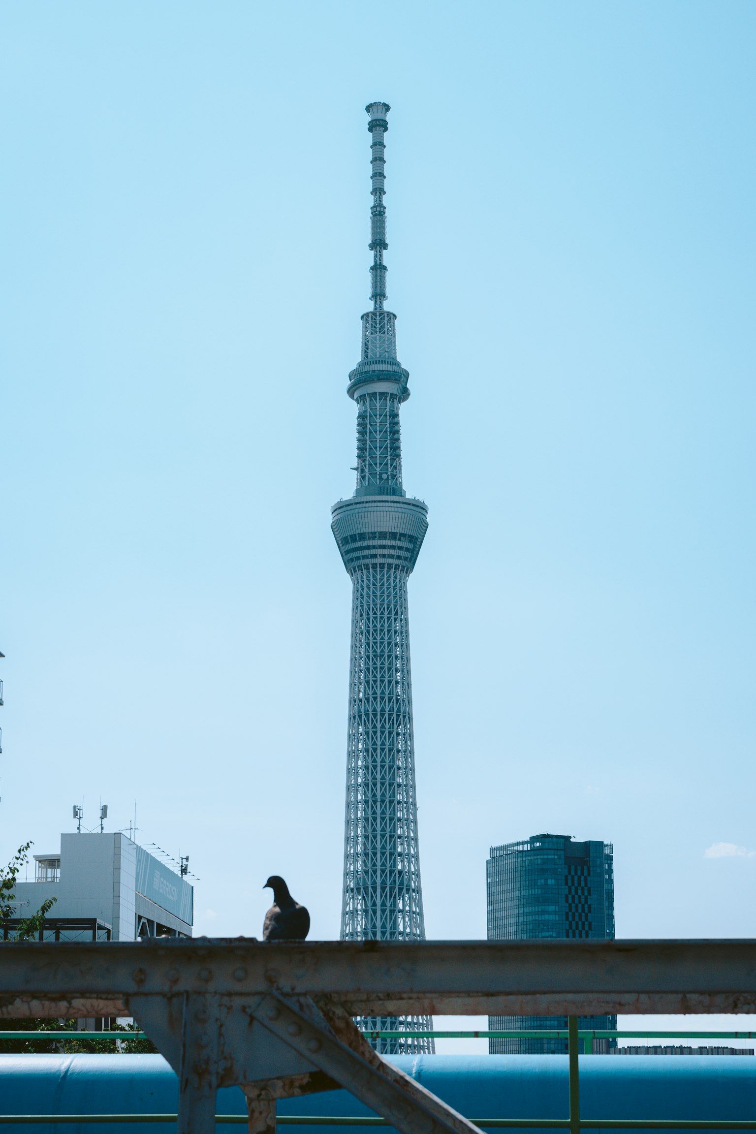 Persona seduta con la Tokyo Skytree e il paesaggio urbano sullo sfondo