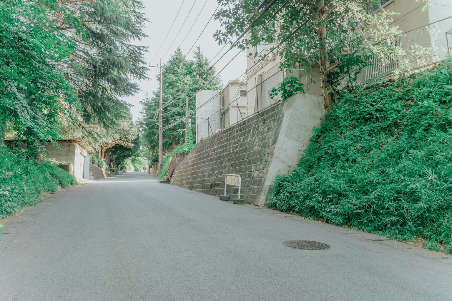 Una strada serena fiancheggiata da vegetazione lussureggiante e edifici