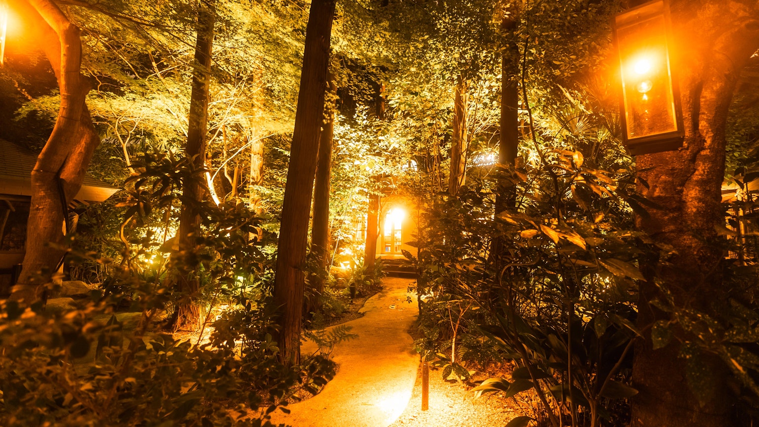 Un sentiero magico nel bosco illuminato da luci calde
