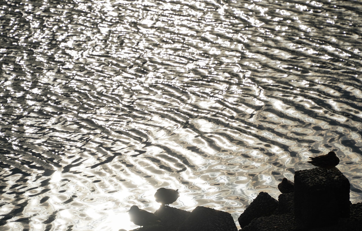 Bild einer wellenden Wasseroberfläche mit Silhouette von Steinen