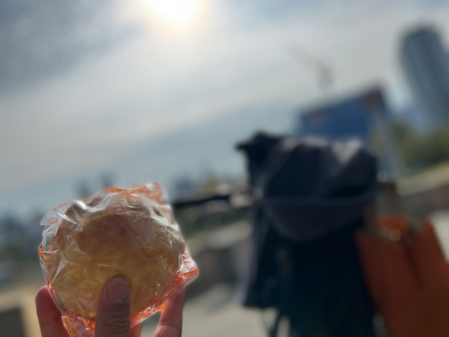 Seseorang memegang roti terbungkus dengan latar belakang pemandangan kota