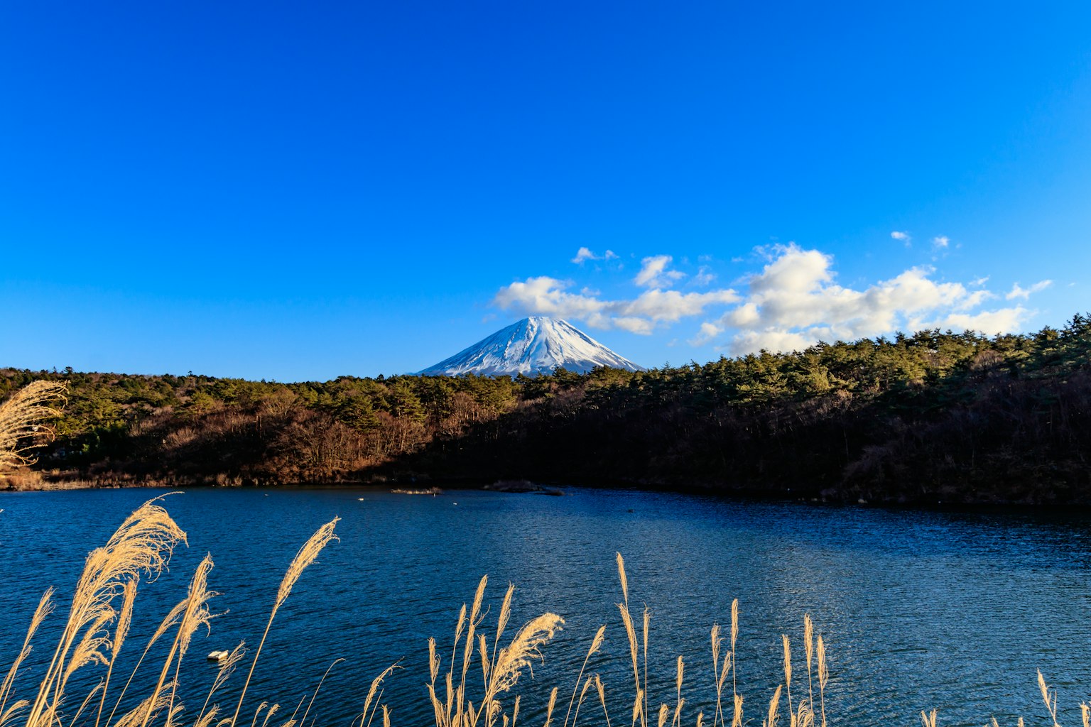 Malersiche Aussicht auf den Fuji unter einem blauen Himmel mit einem ruhigen See