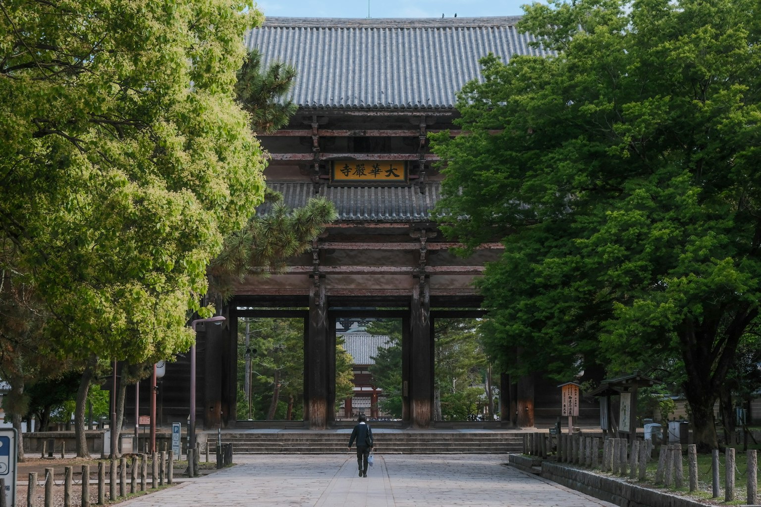 一个人走过被郁郁葱葱的树木环绕的传统日本寺庙大门
