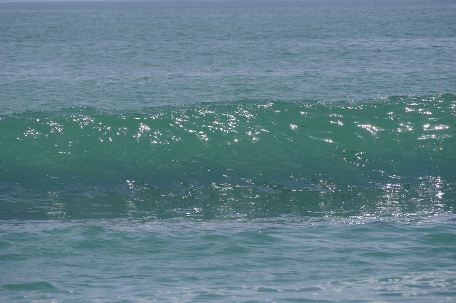 Une vue panoramique de l'océan avec des vagues vertes scintillantes