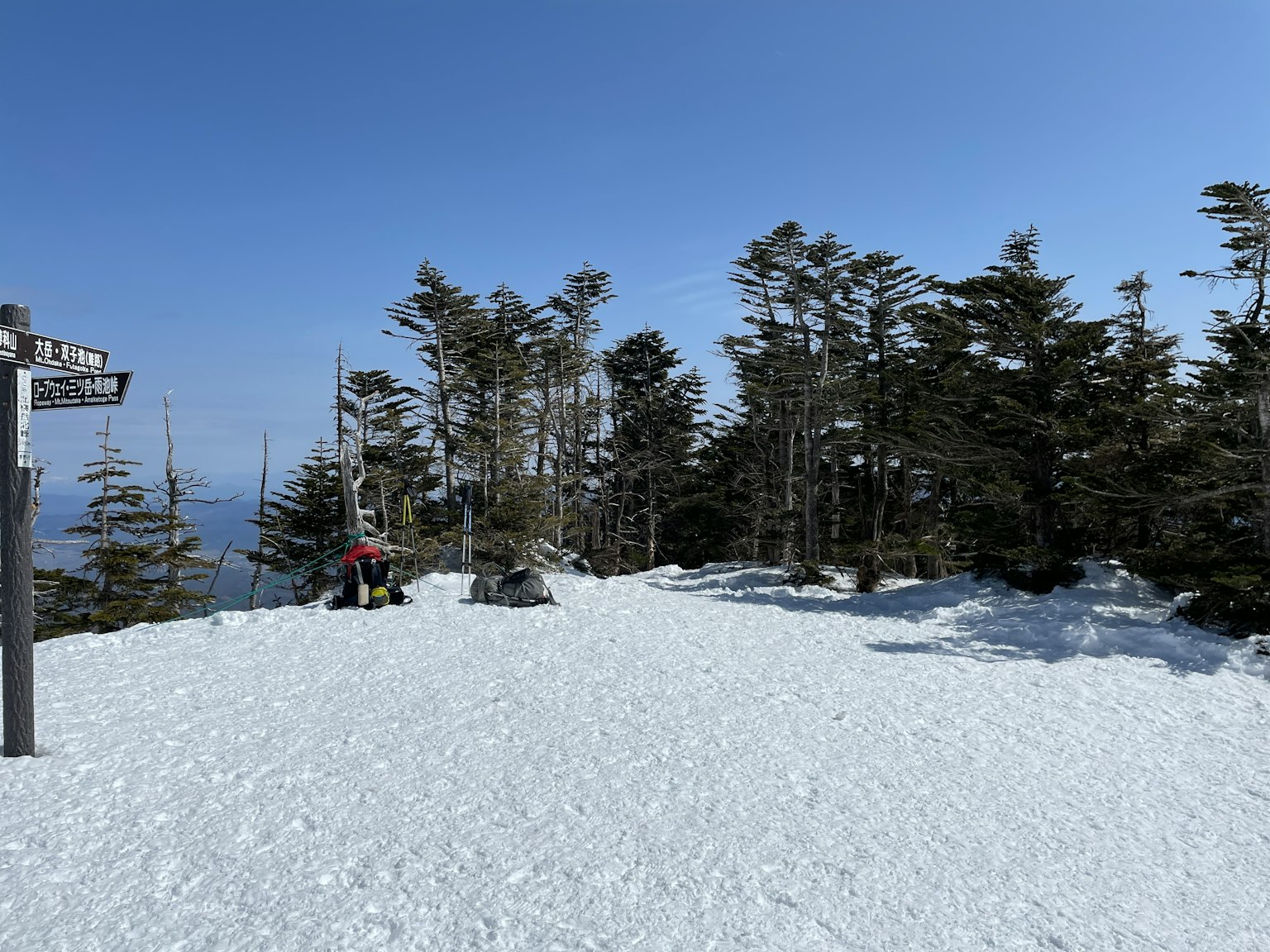 被雪覆蓋的山頂風景 有樹木和晴朗的藍天
