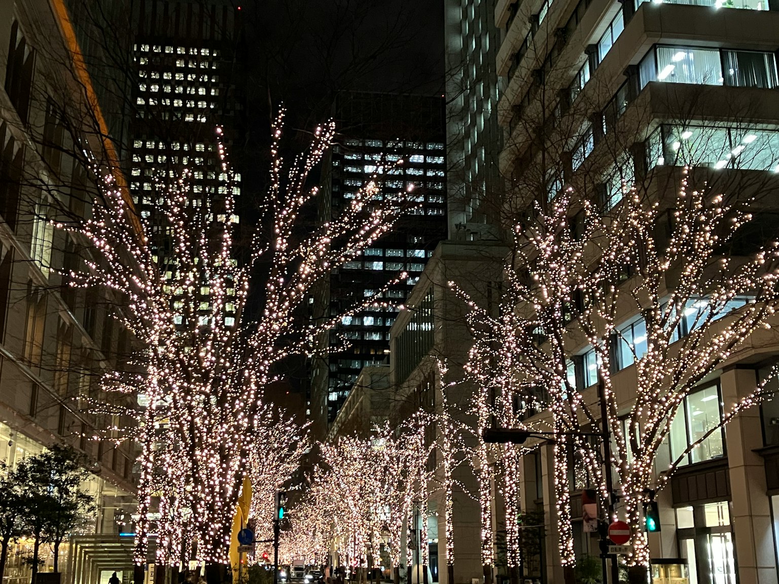Illuminated trees with white lights in a city street at night