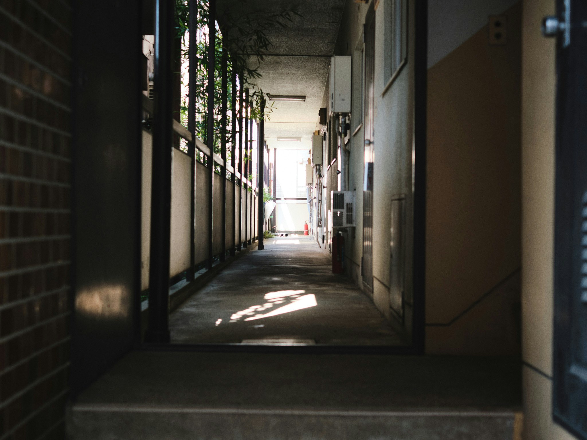 路地のような通路に差し込む木漏れ日
