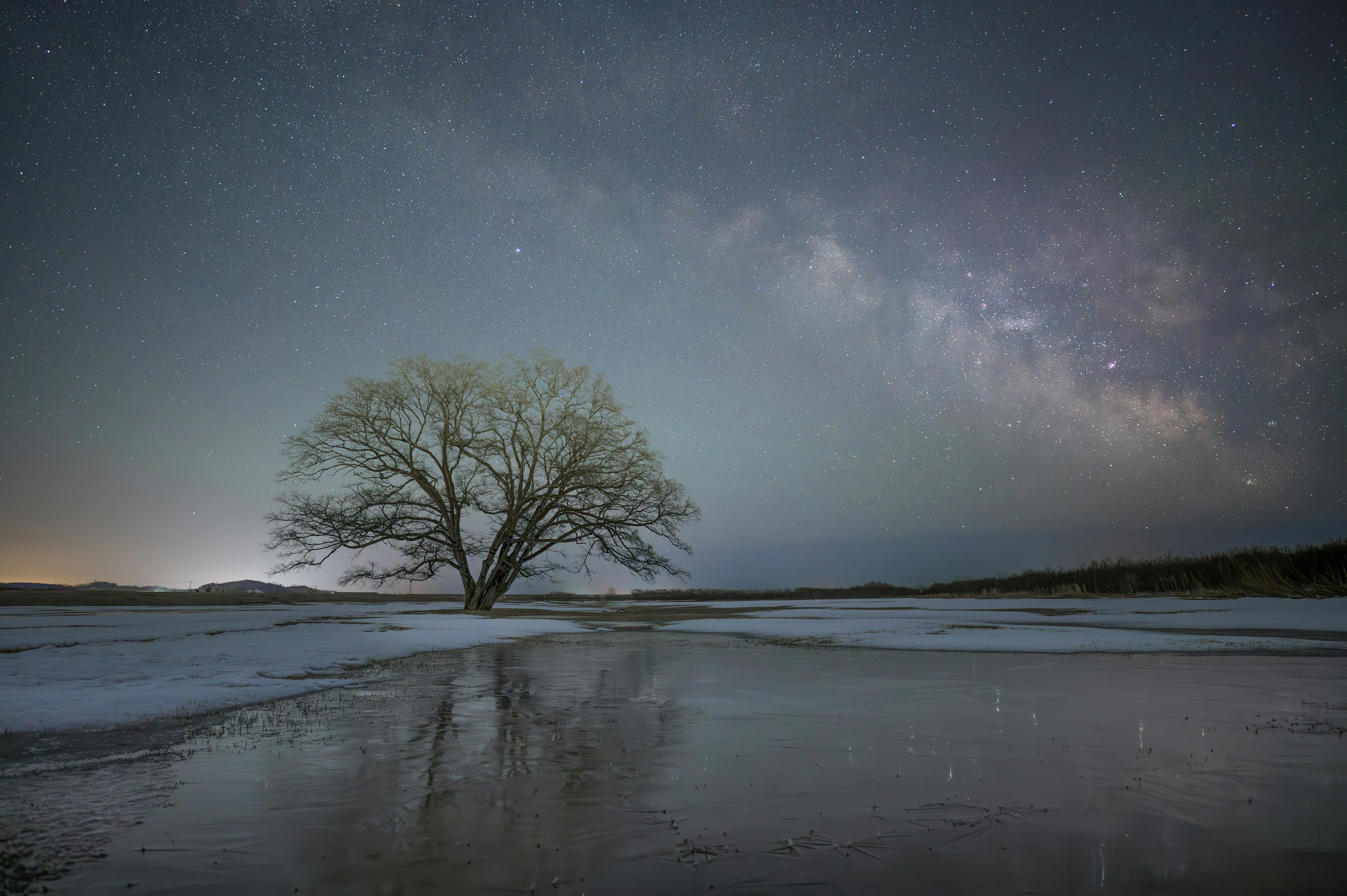 雪解けの大地に立つシンボルツリーと天の川の星空