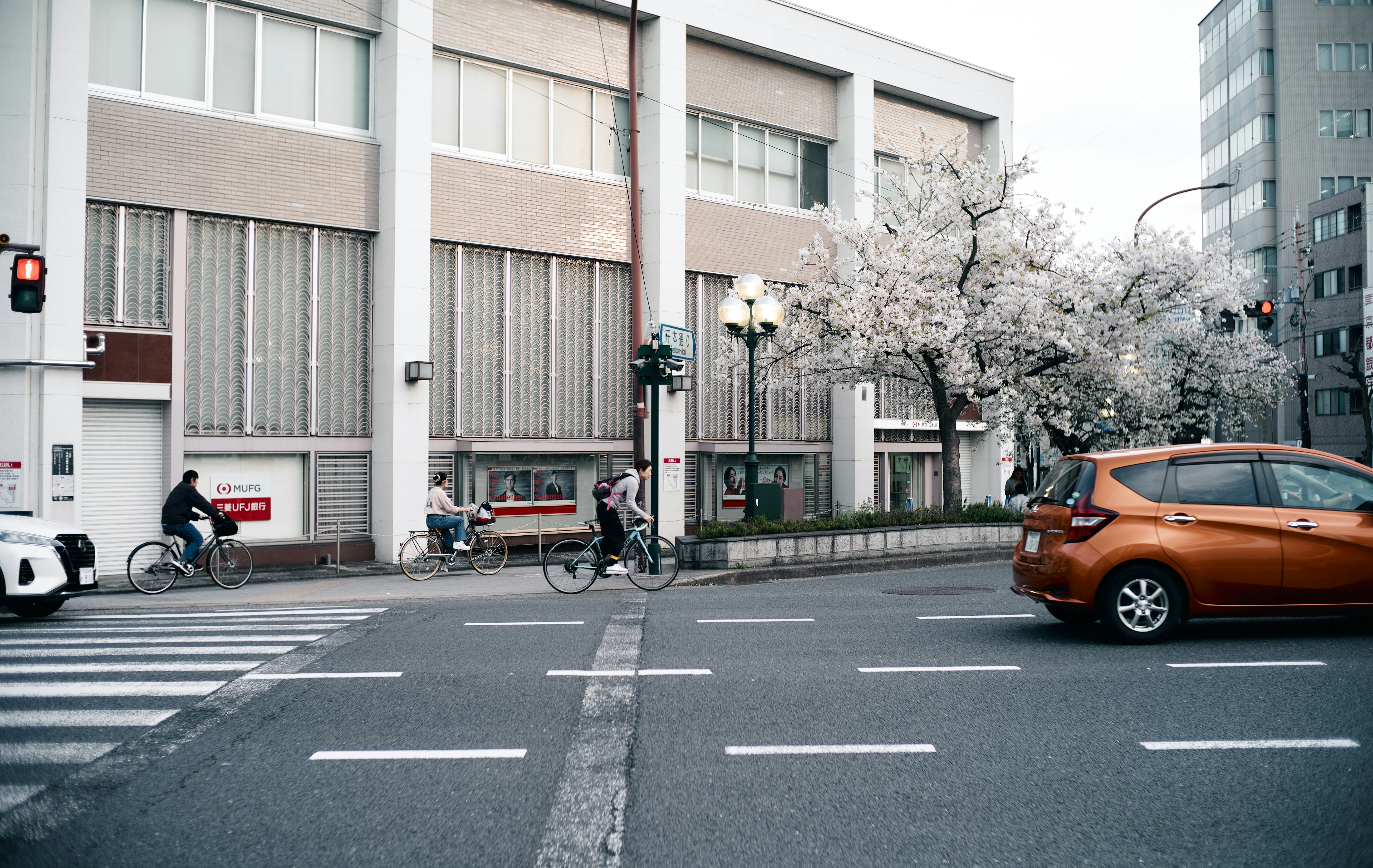 桜並木のある都市の交差点と車道の風景