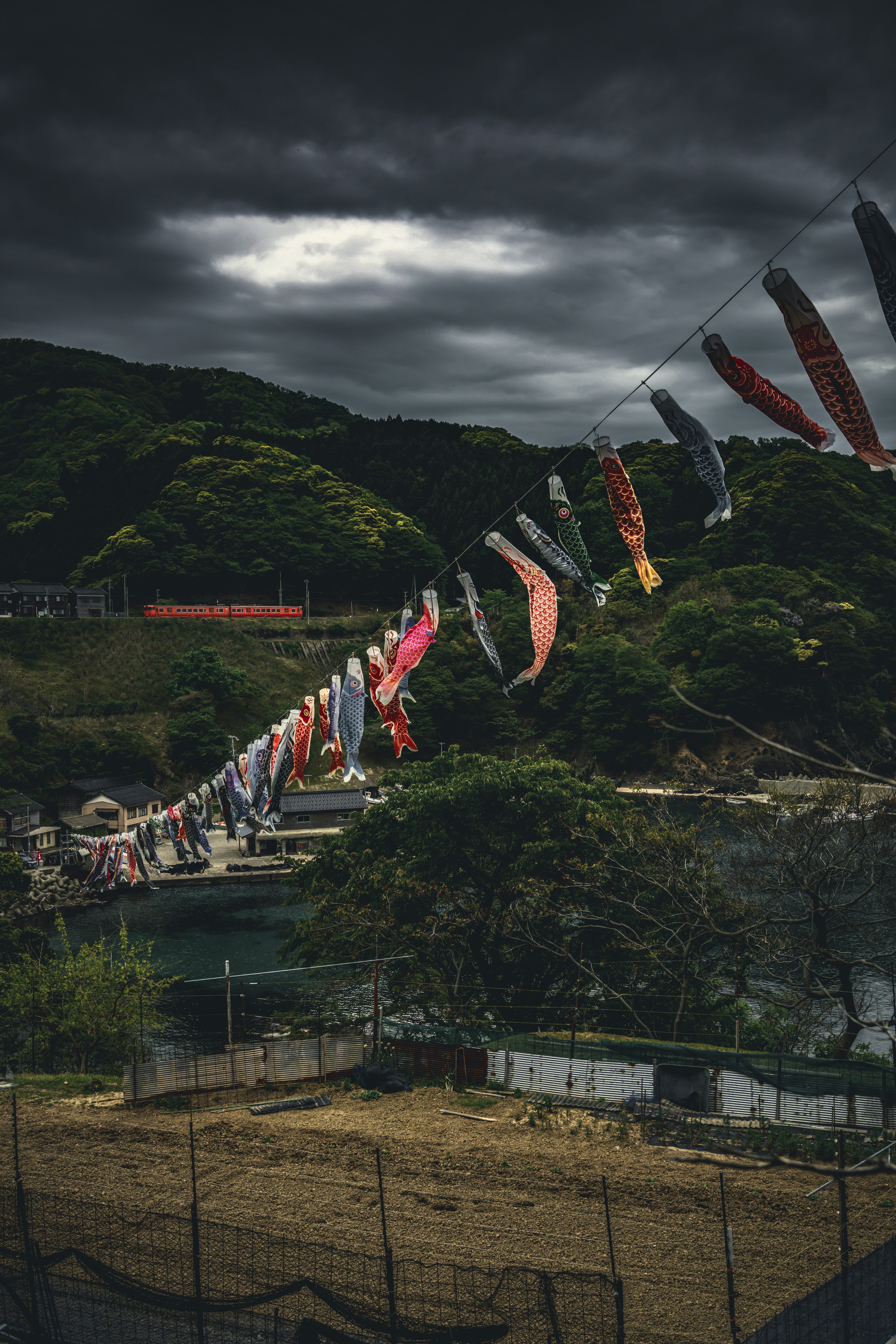 風に揺れる鯉のぼりが並ぶ山あいの川沿い