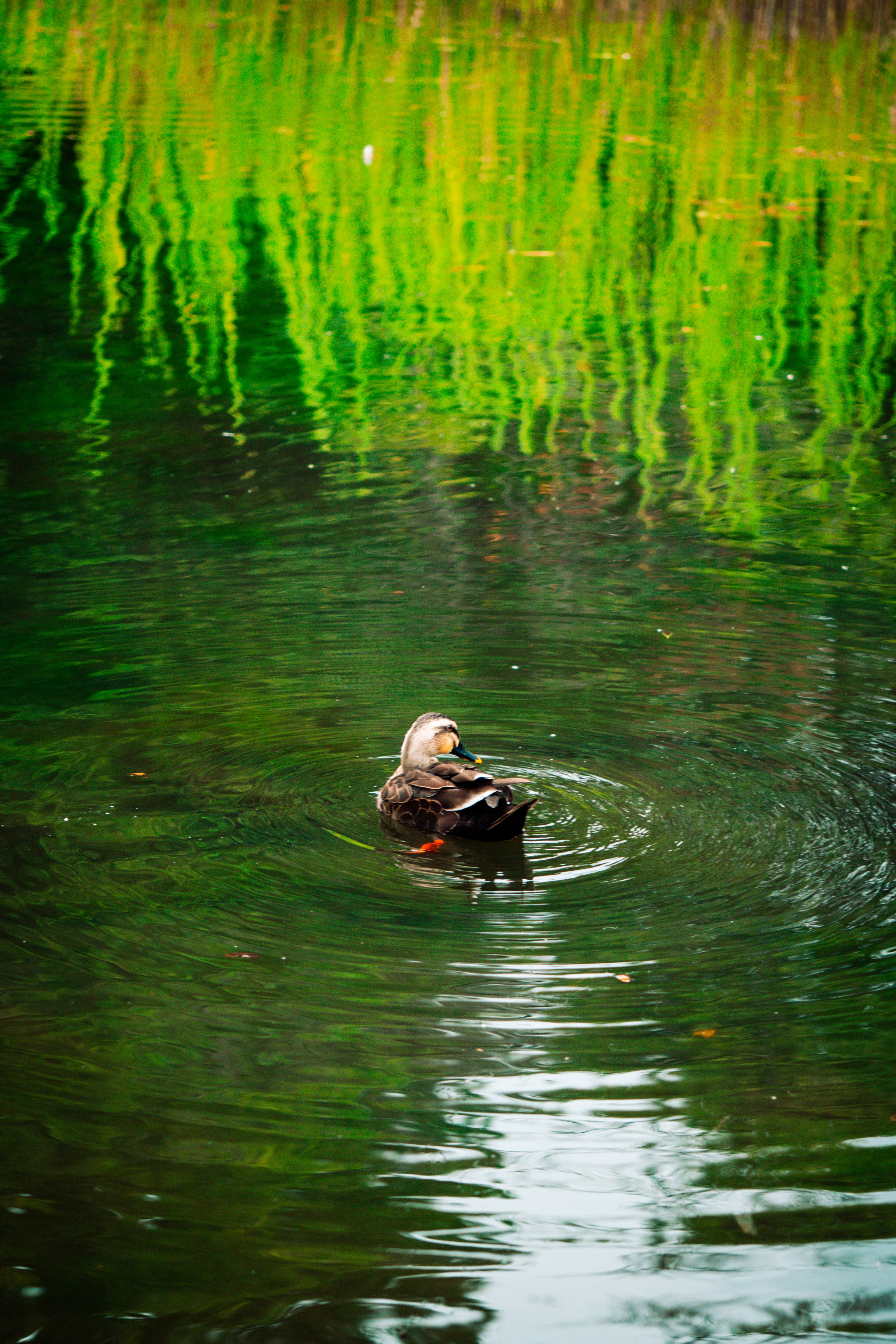 photo-7MK4CjYhms7jQXaxH3NJ-image