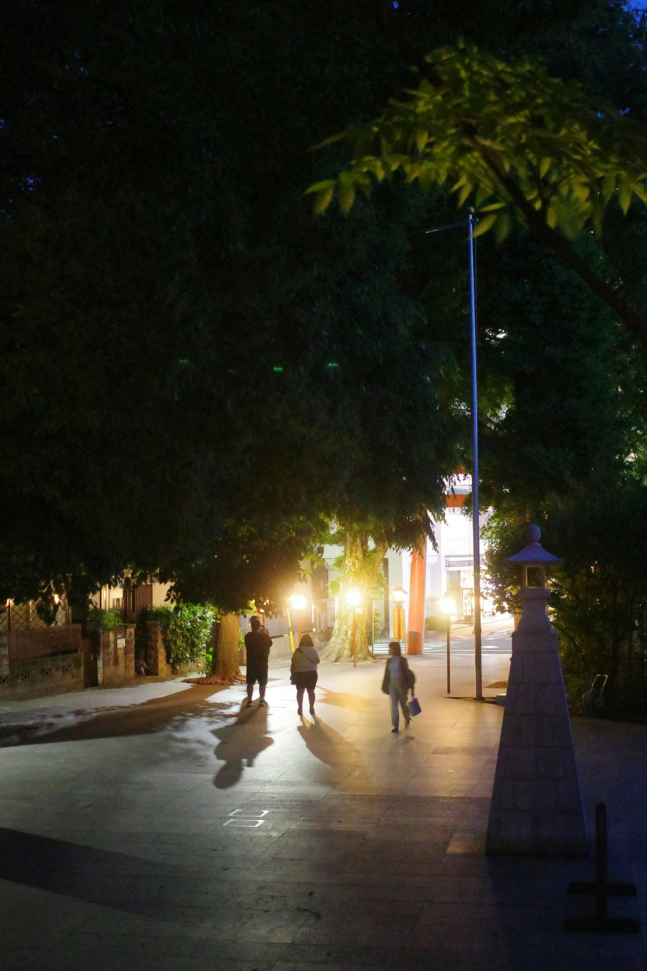 夜の街路樹の並ぶ歩道を人が歩く風景
