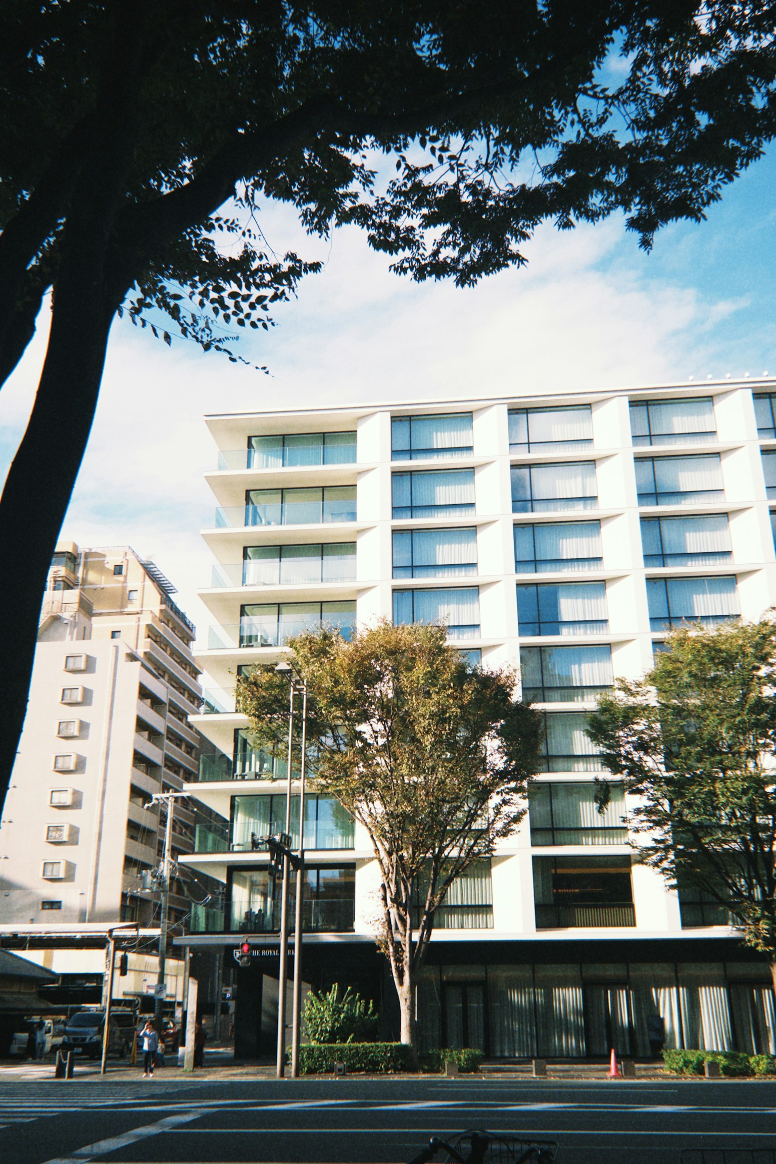 Modern building with large windows and clear blue sky surrounded by green trees