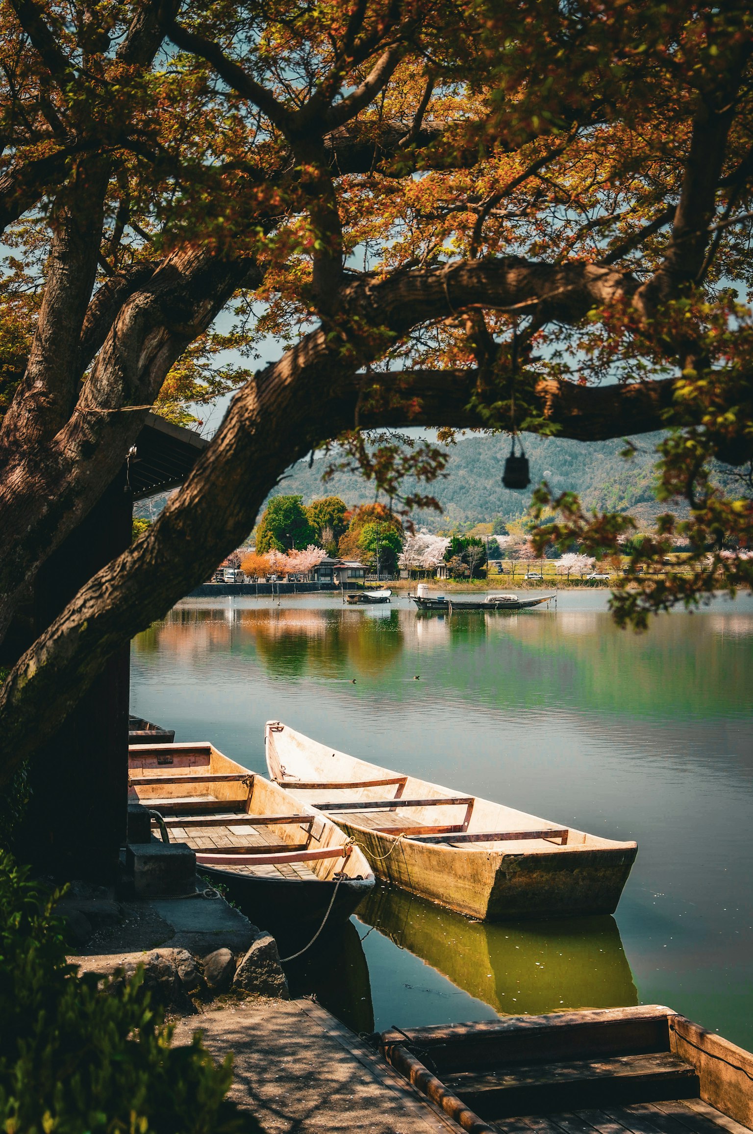 Escena serena junto al lago con pequeños botes y árboles coloridos