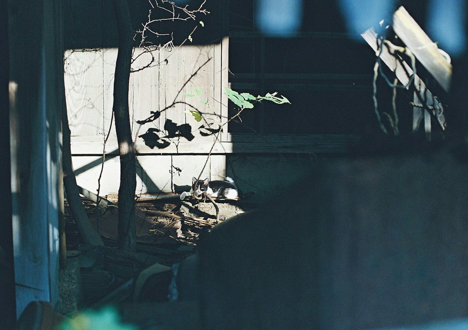 Impressive contrast of light and shadow featuring part of an old building